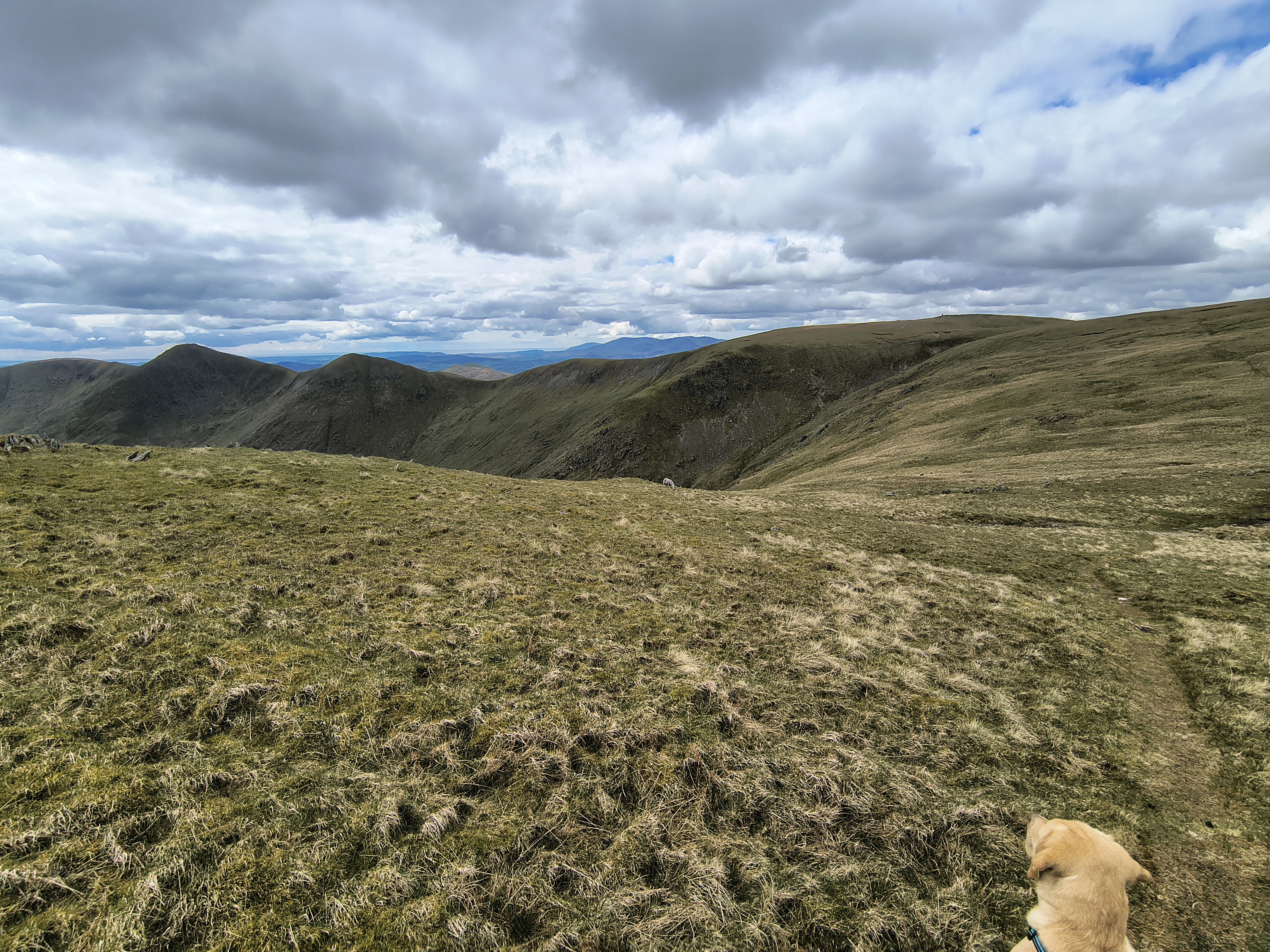 A Hartsop Round - Image 30, May 05, 2026
