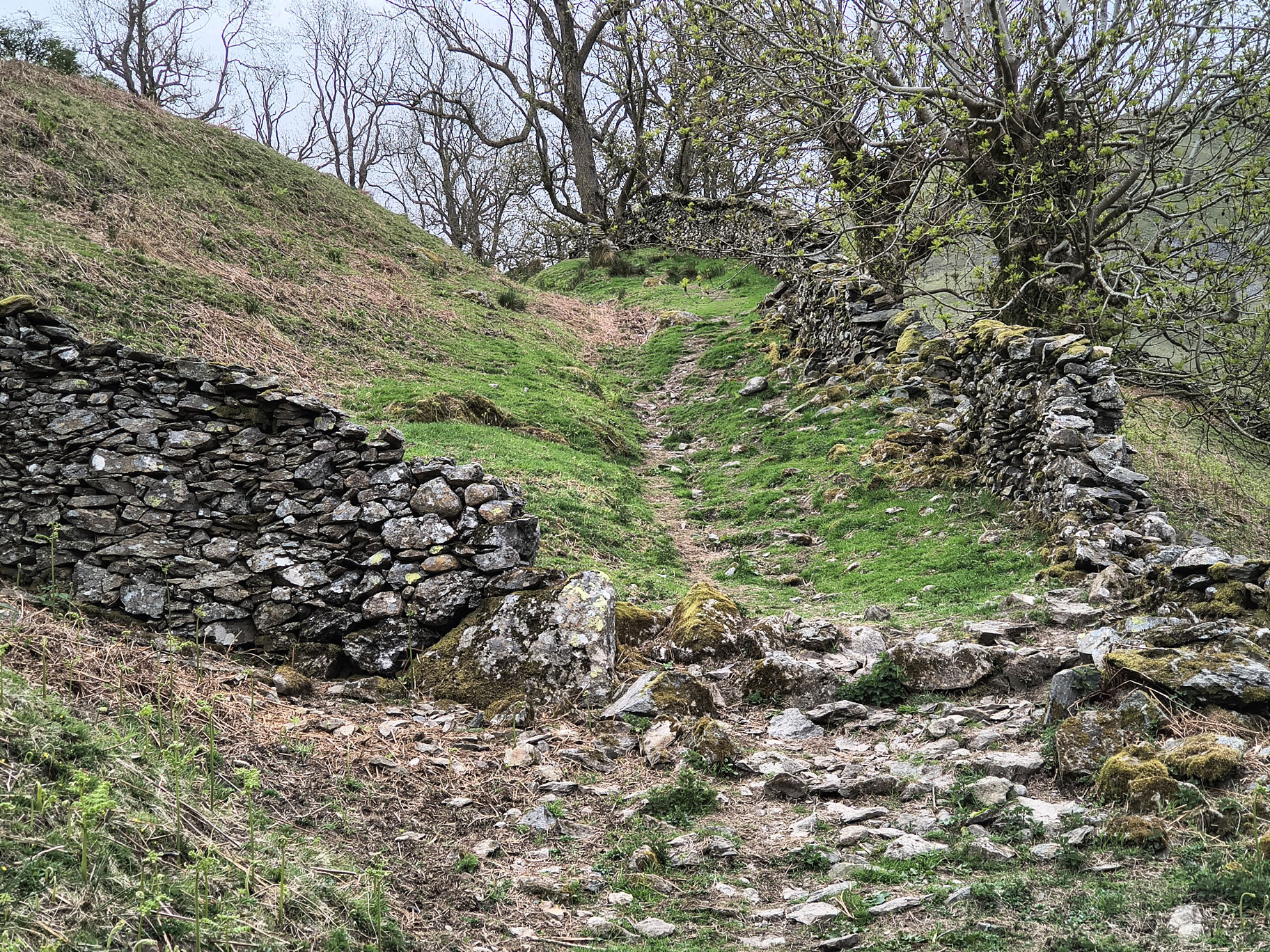 A Hartsop Round - Image 3, May 05, 2026