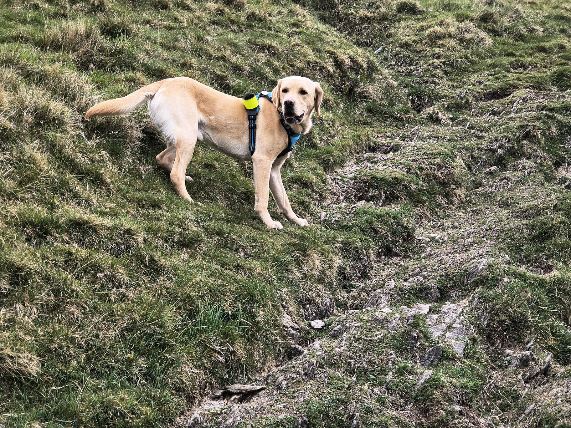 A Hartsop Round - Image 8, May 05, 2026