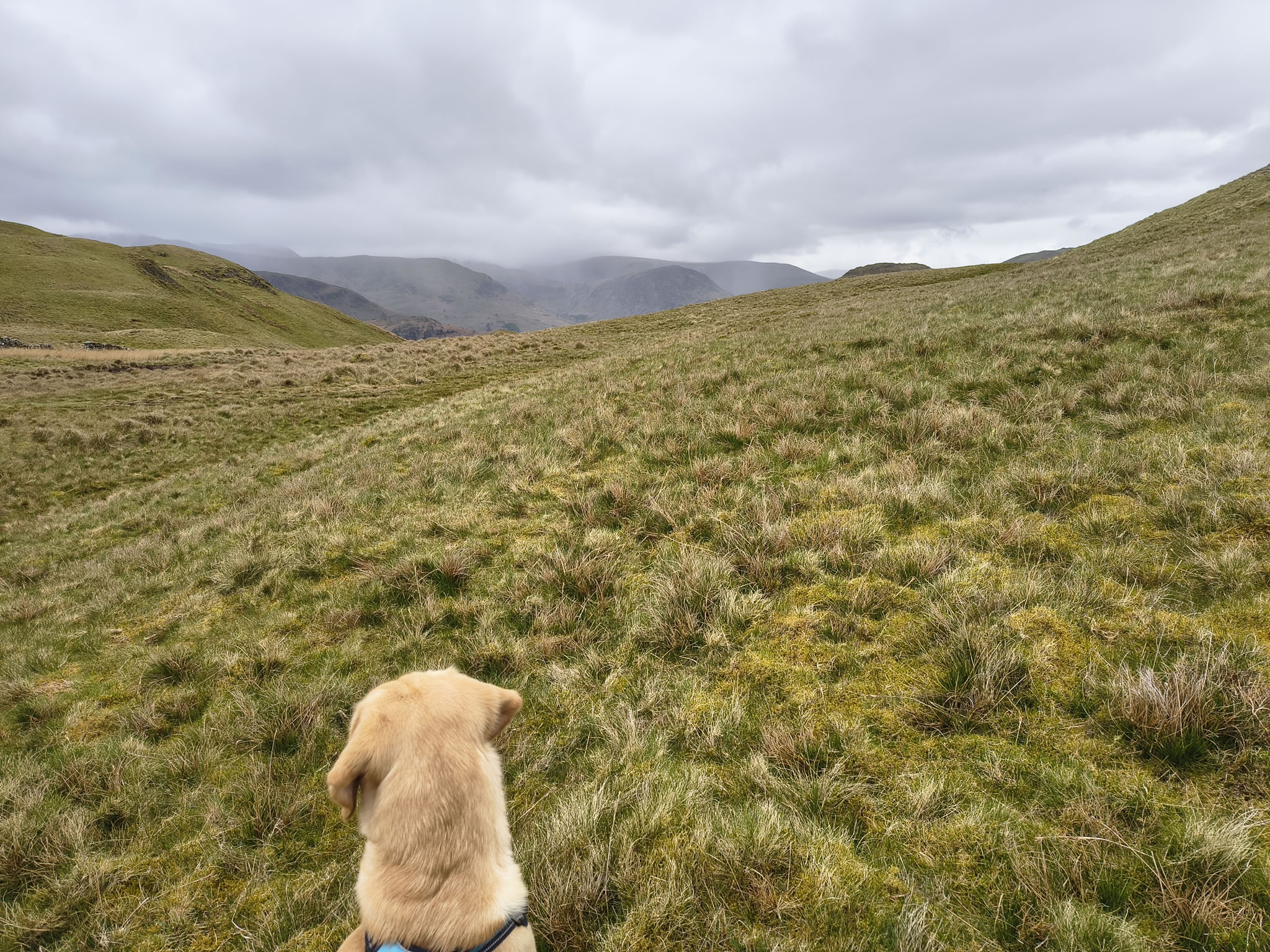 A Hartsop Round - Image 10, May 05, 2026