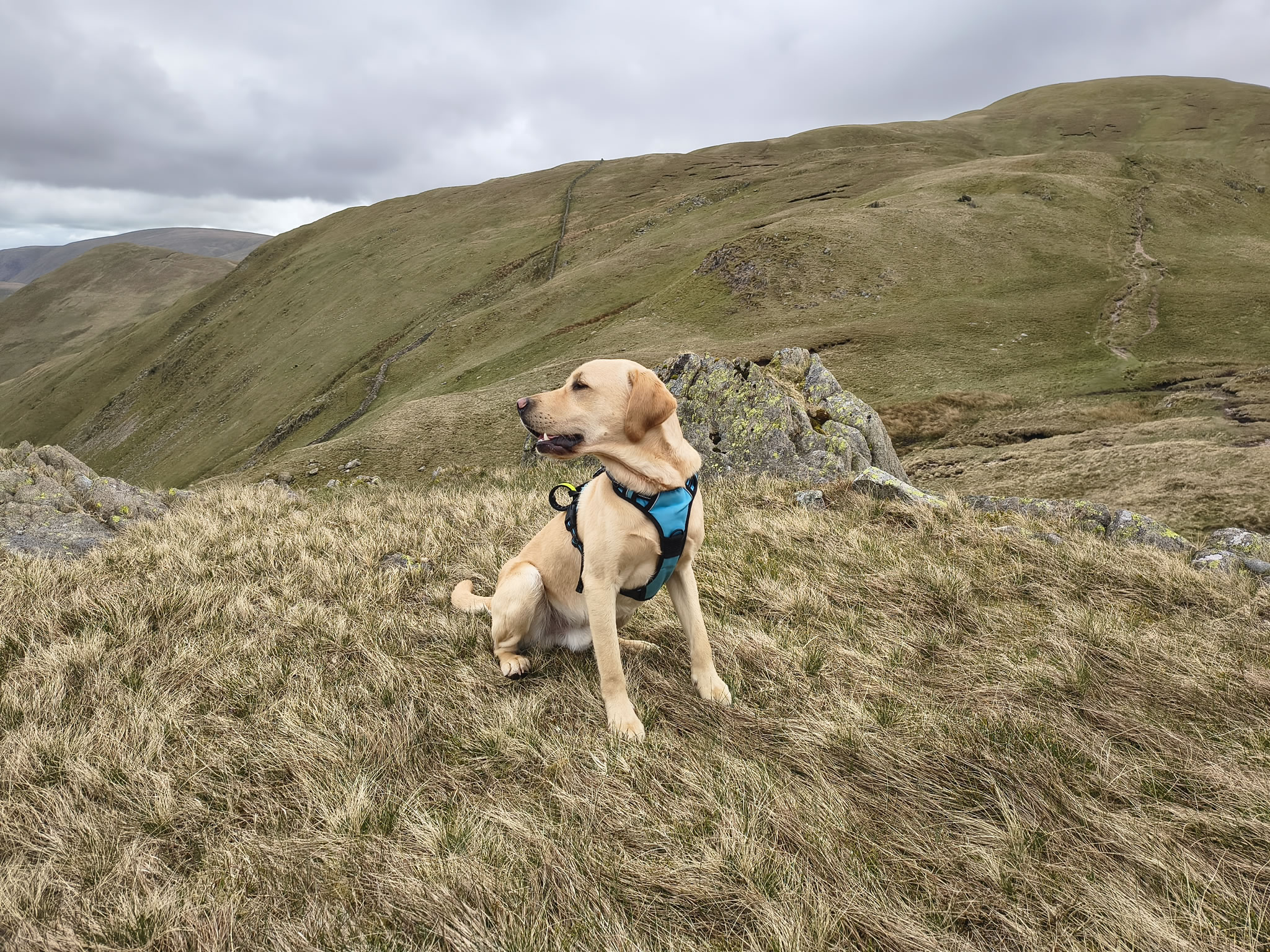 A Hartsop Round - Image 11, May 05, 2026