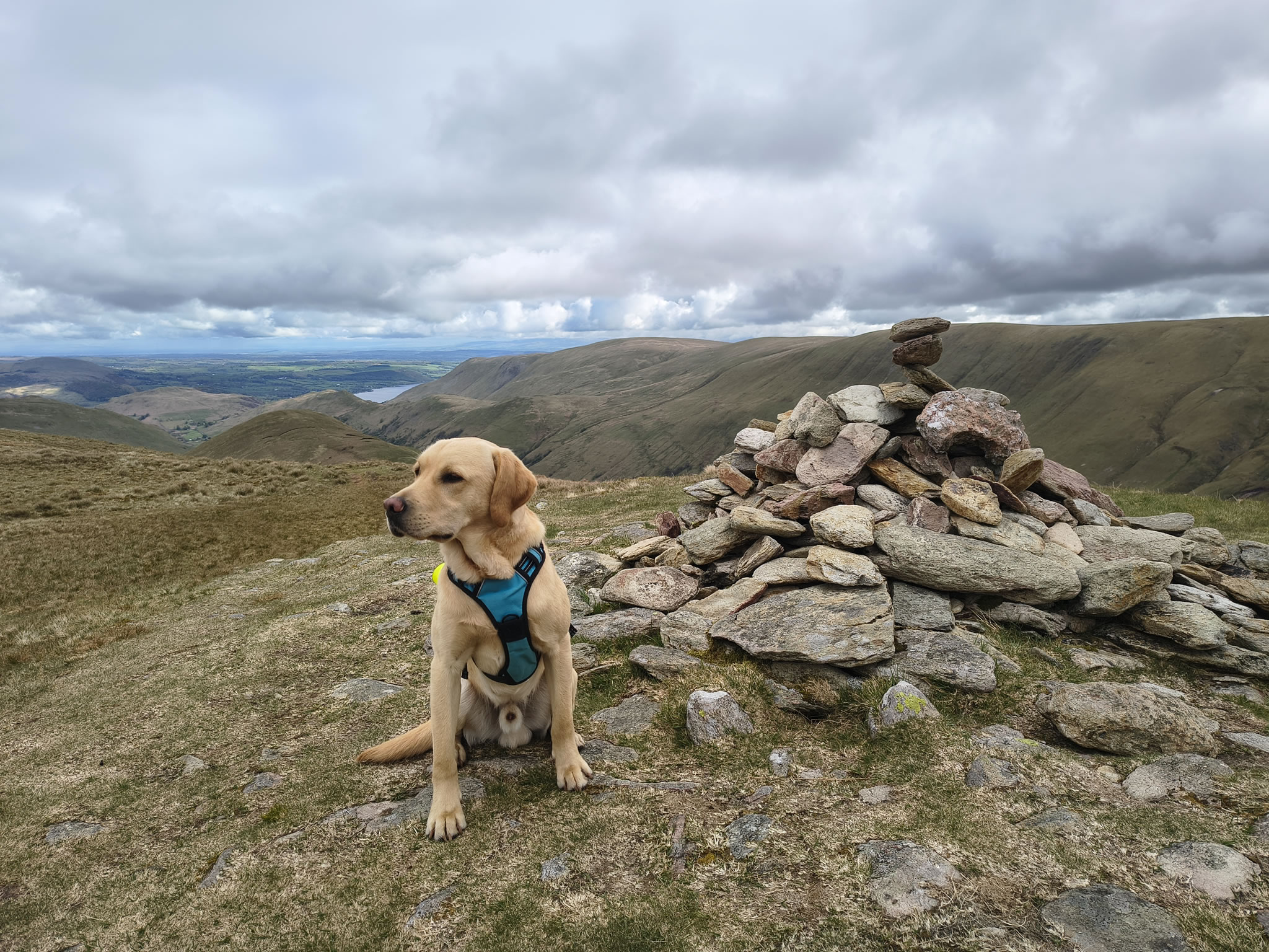 A Hartsop Round - Image 12, May 05, 2026
