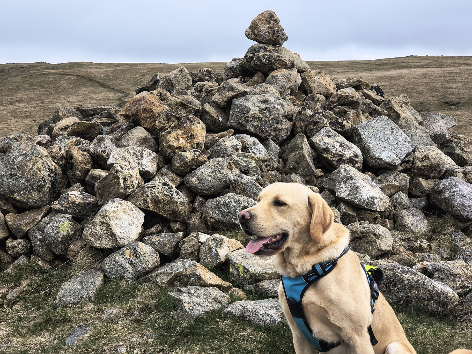 A Hartsop Round - Image 14, May 05, 2026