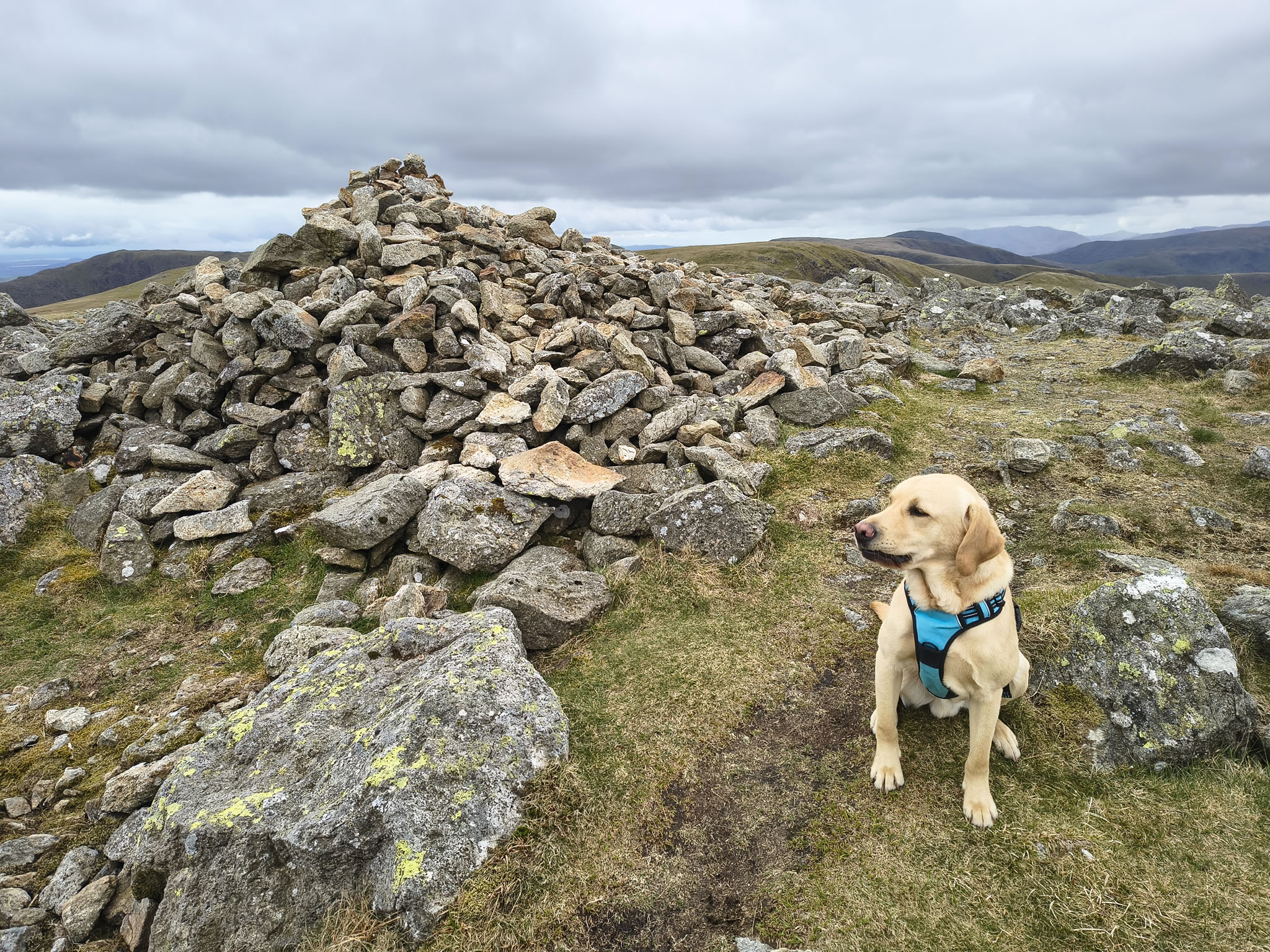 A Hartsop Round - Image 16, May 05, 2026