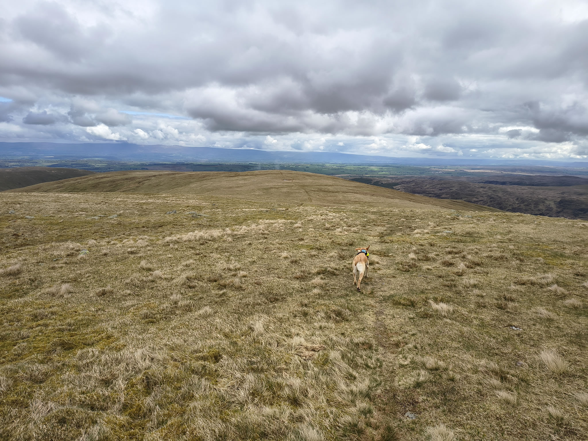 A Hartsop Round - Image 17, May 05, 2026
