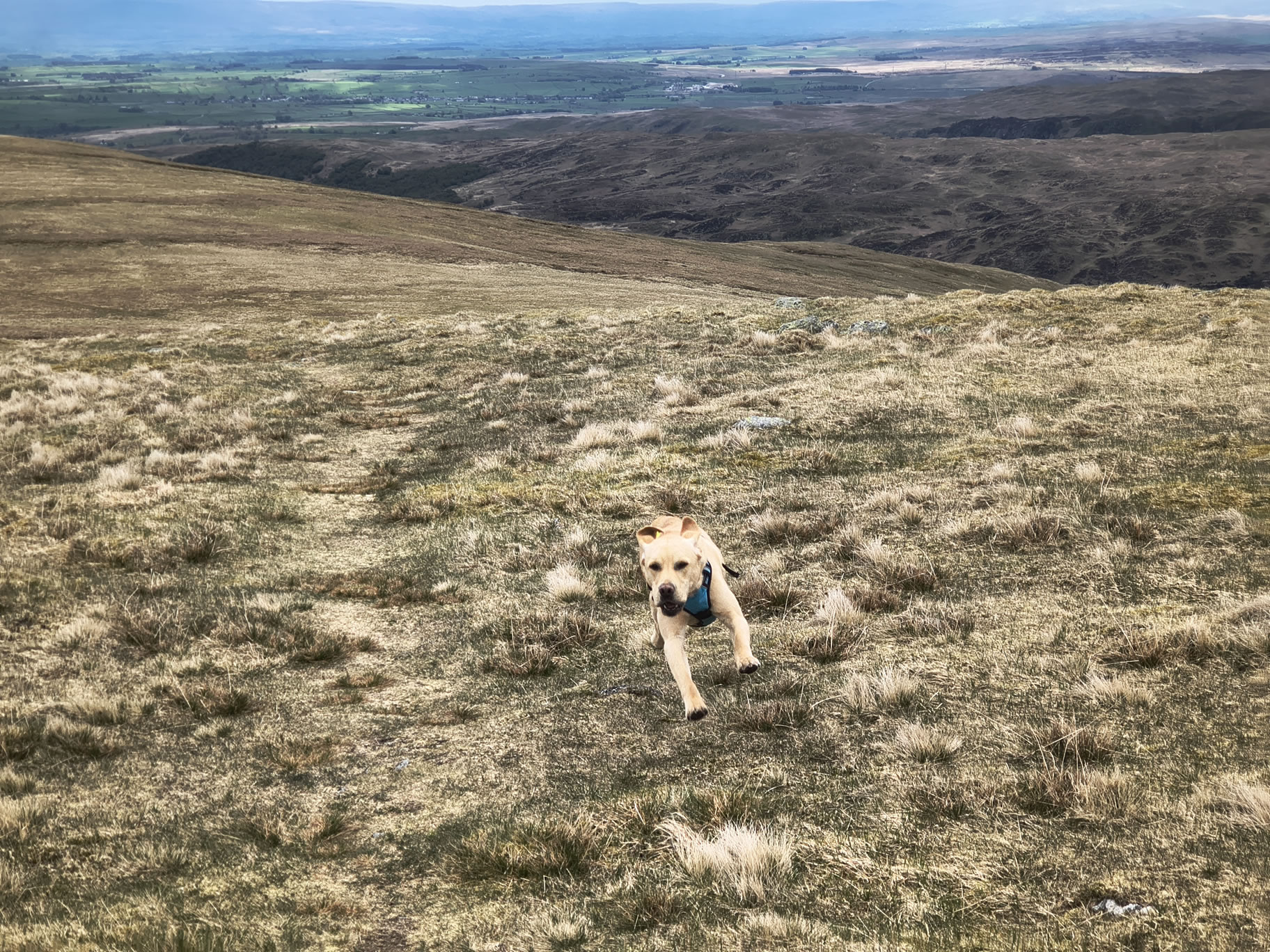 A Hartsop Round - Image 18, May 05, 2026
