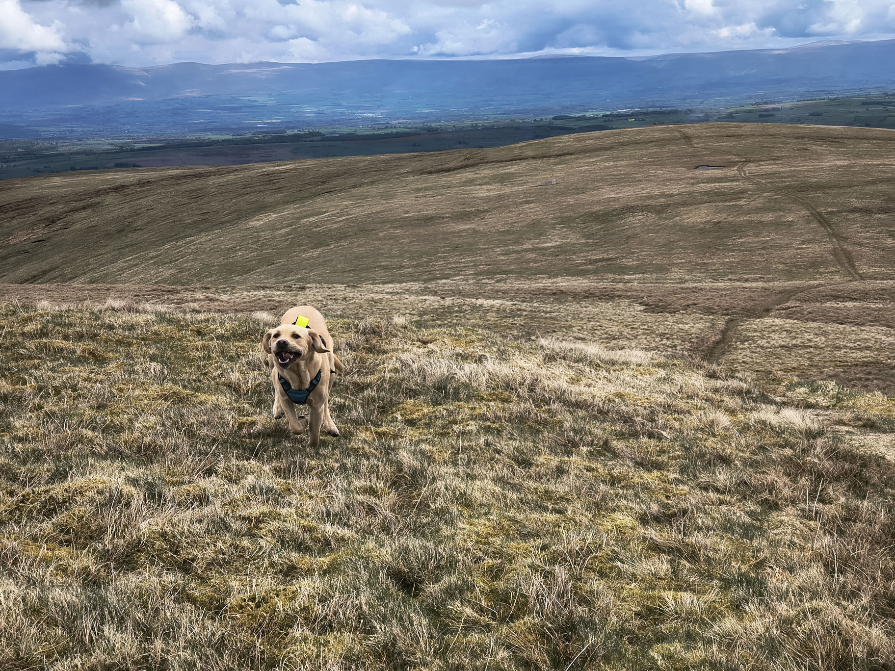 A Hartsop Round - Image 19, May 05, 2026