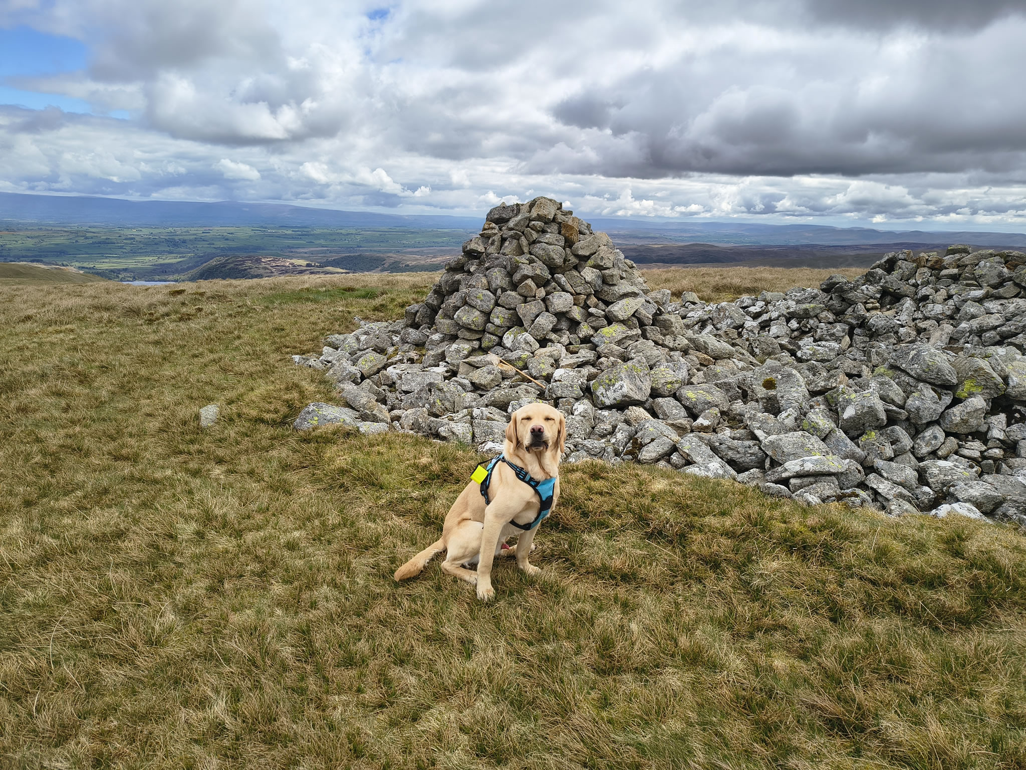 A Hartsop Round - Image 20, May 05, 2026