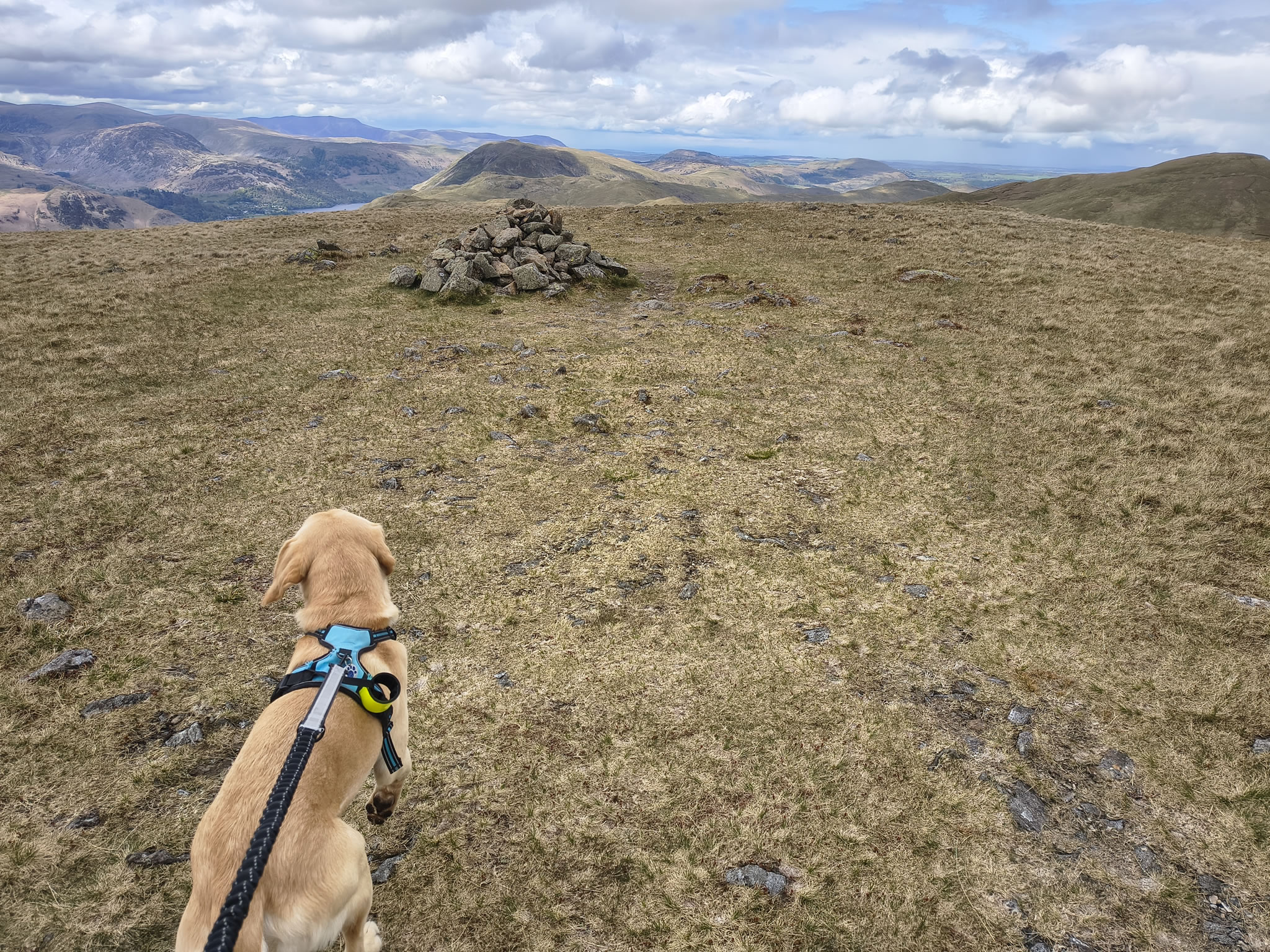 A Hartsop Round - Image 35, May 05, 2026