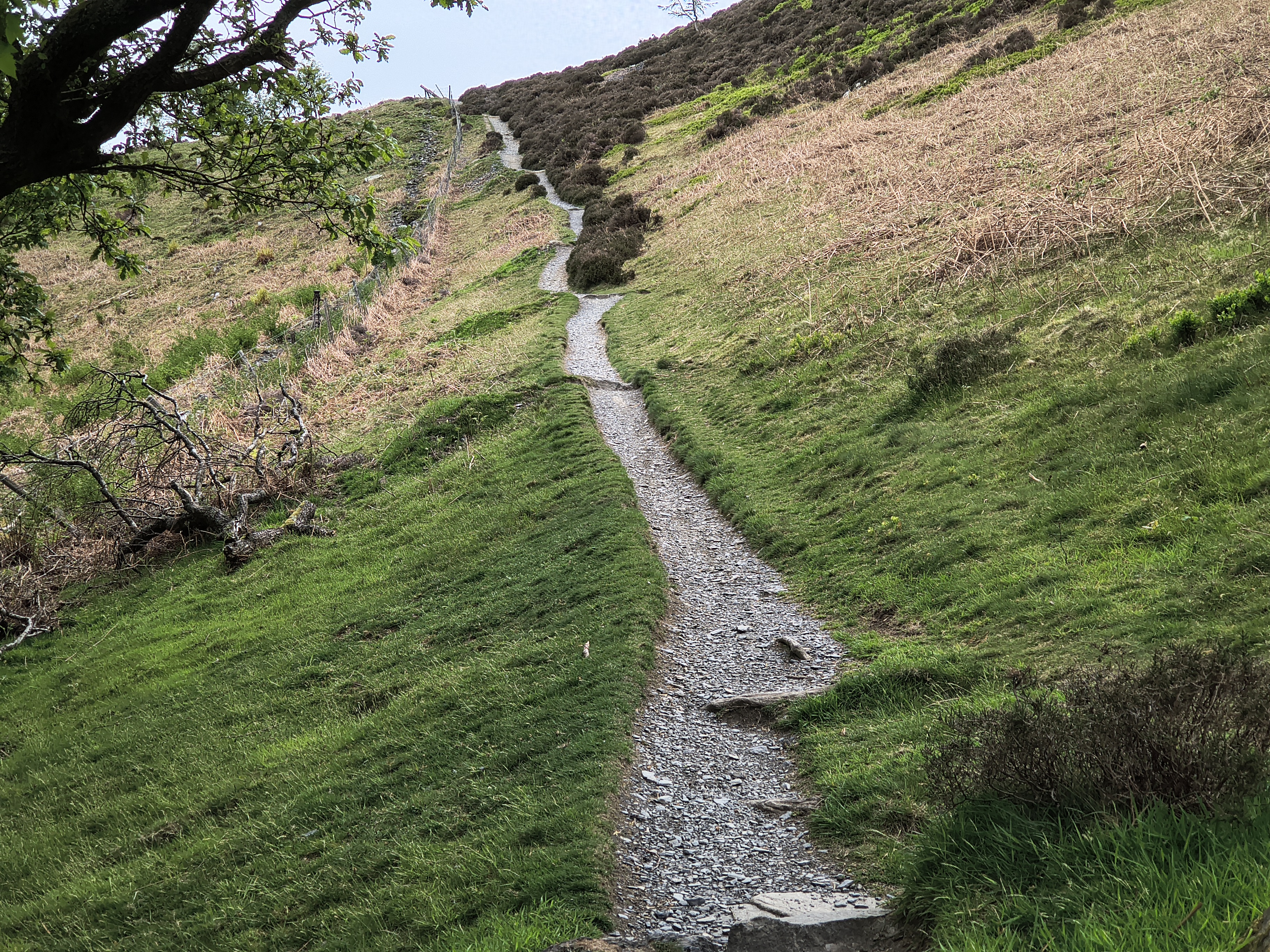 Ullock Pike, Skiddaw - Image 3, May 06, 2026