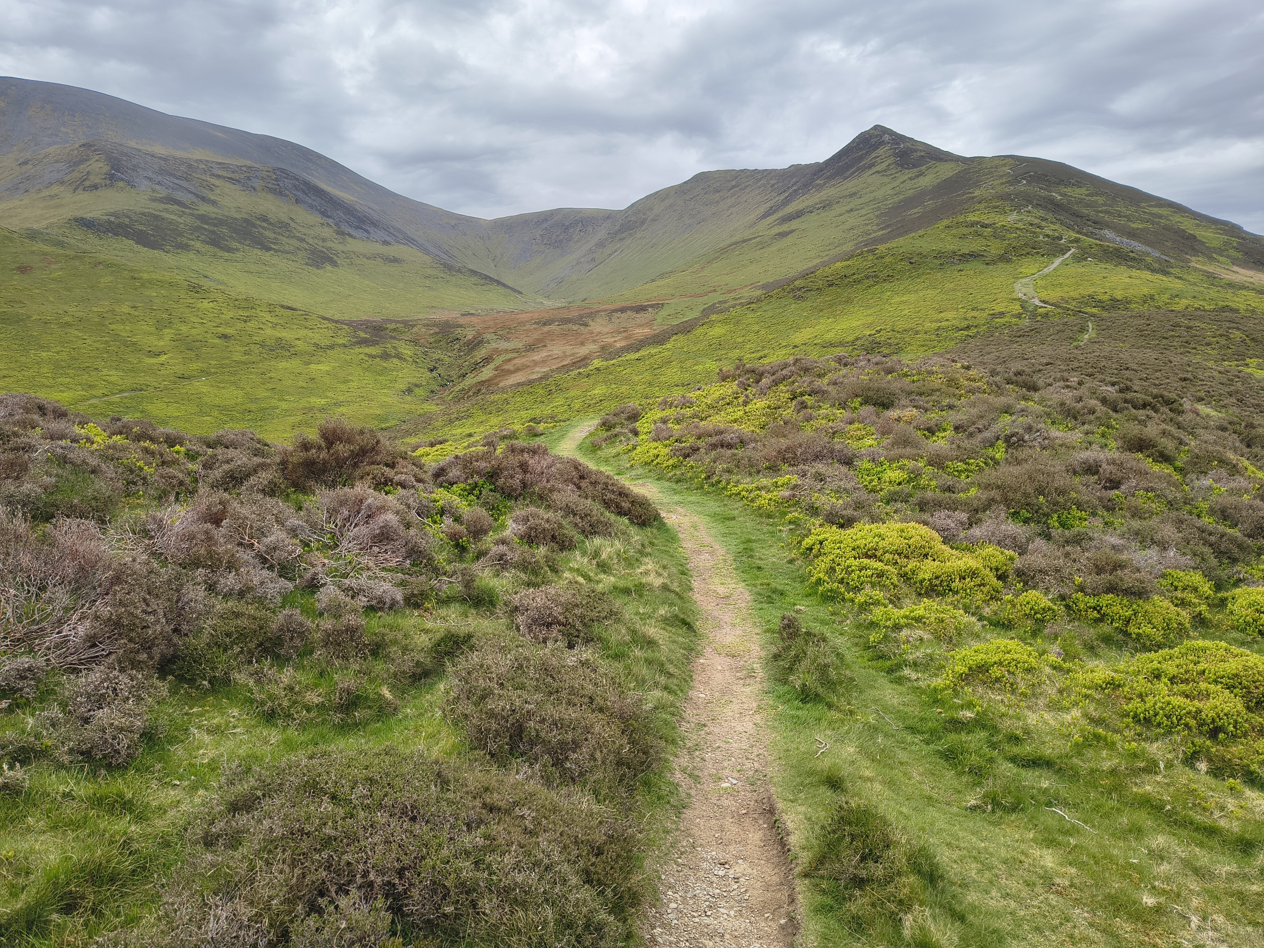 Ullock Pike, Skiddaw - Image 6, May 06, 2026