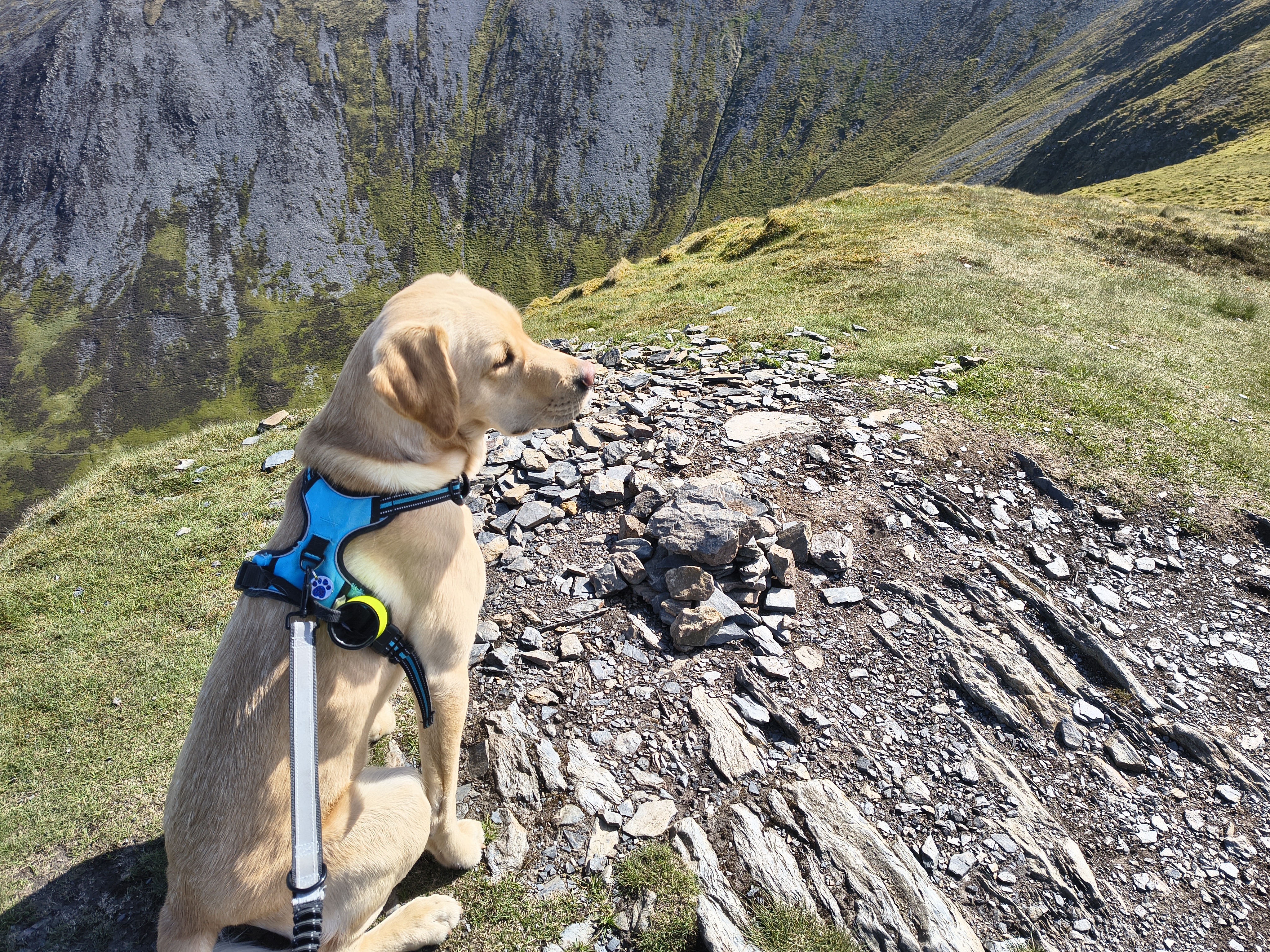 Ullock Pike, Skiddaw - Image 15, May 06, 2026