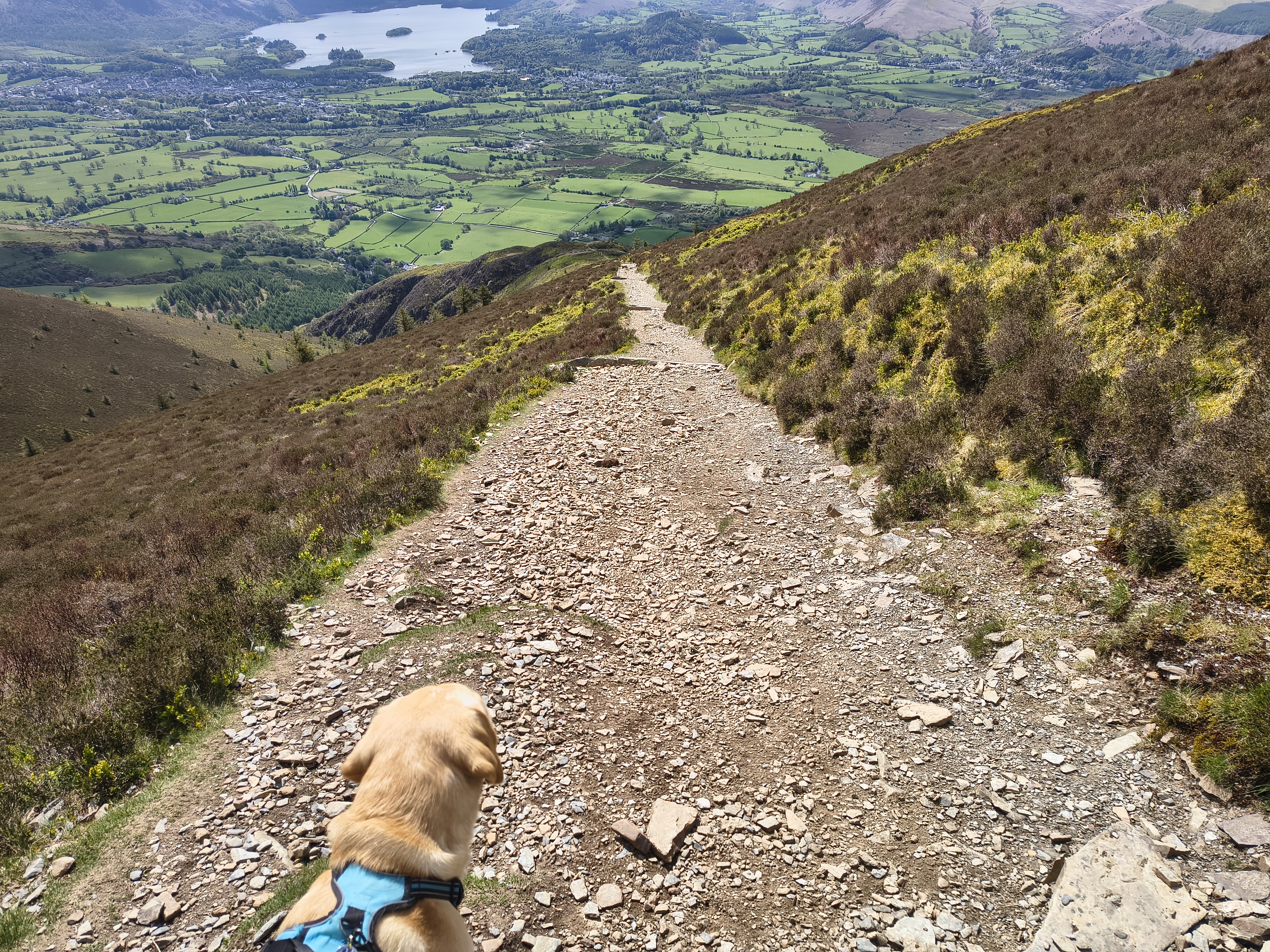Ullock Pike, Skiddaw - Image 29, May 06, 2026