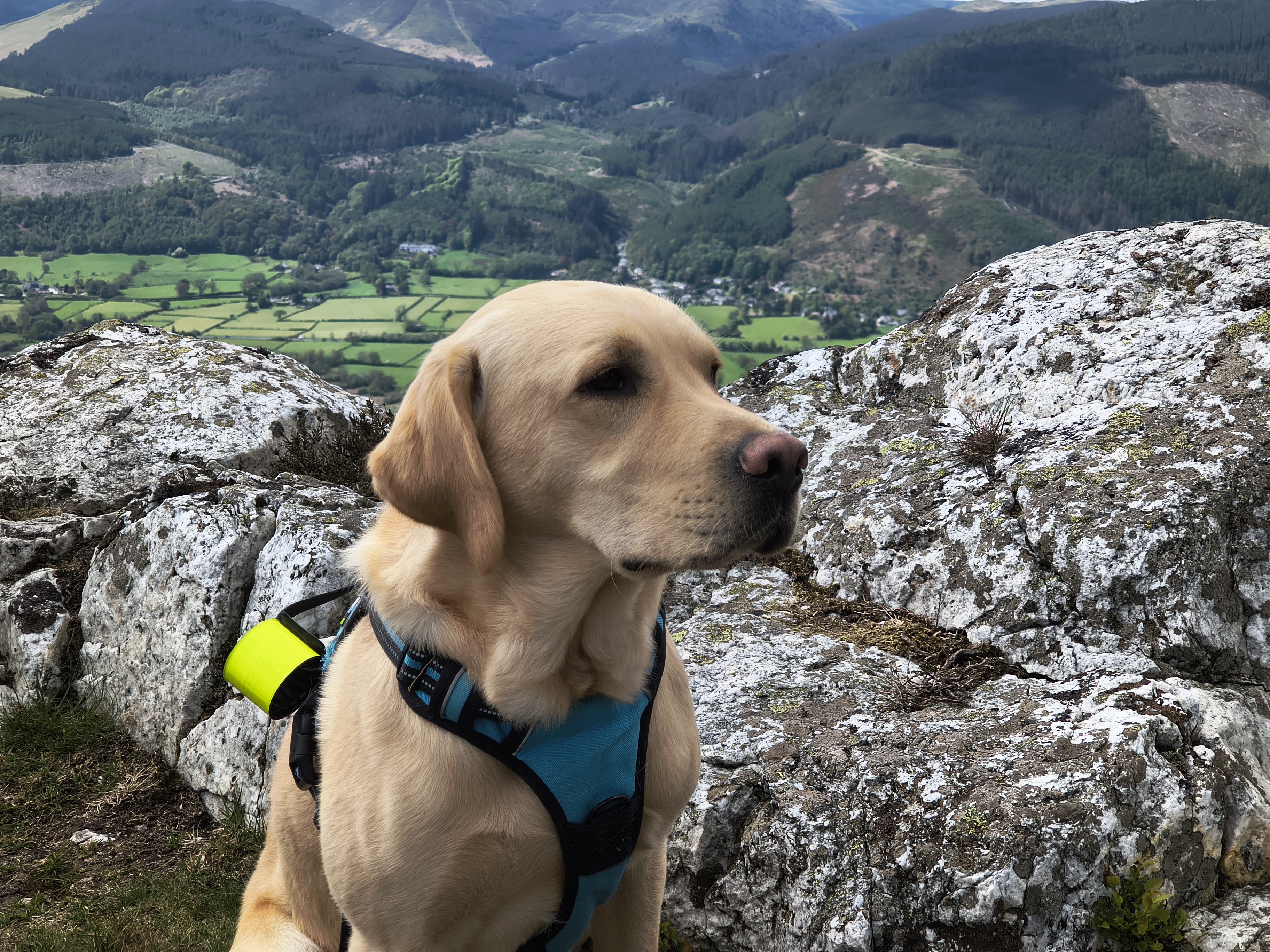 Ullock Pike, Skiddaw - Image 30, May 06, 2026