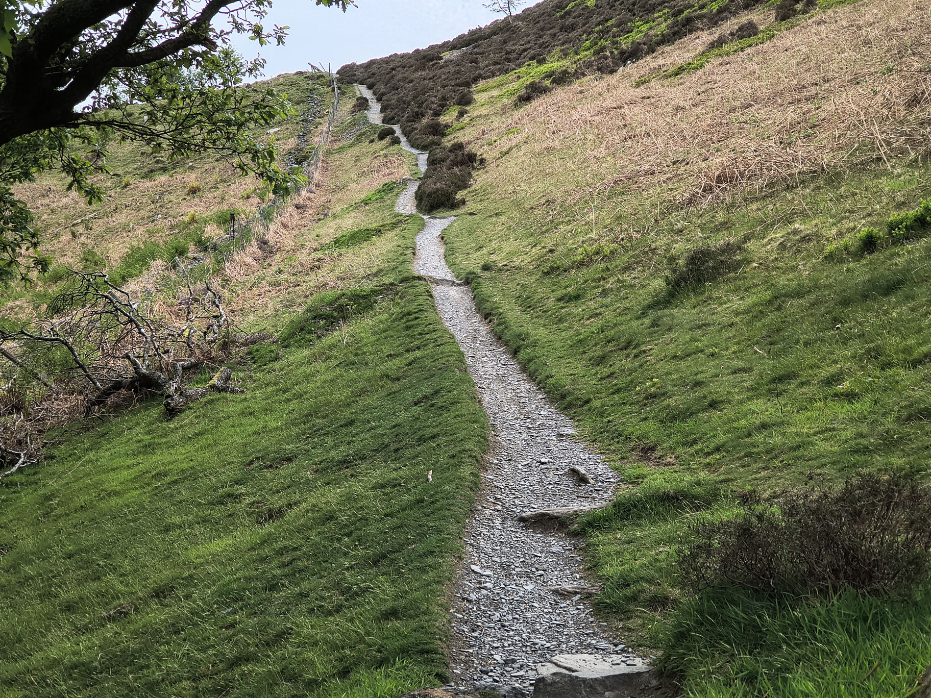 Ullock Pike, Skiddaw - Image 3, May 06, 2026