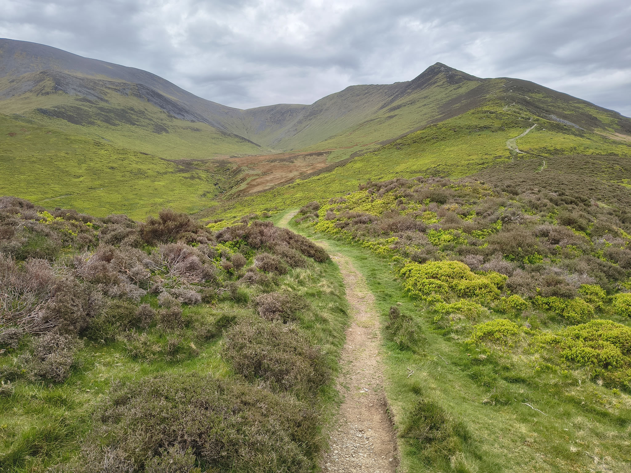 Ullock Pike, Skiddaw - Image 6, May 06, 2026