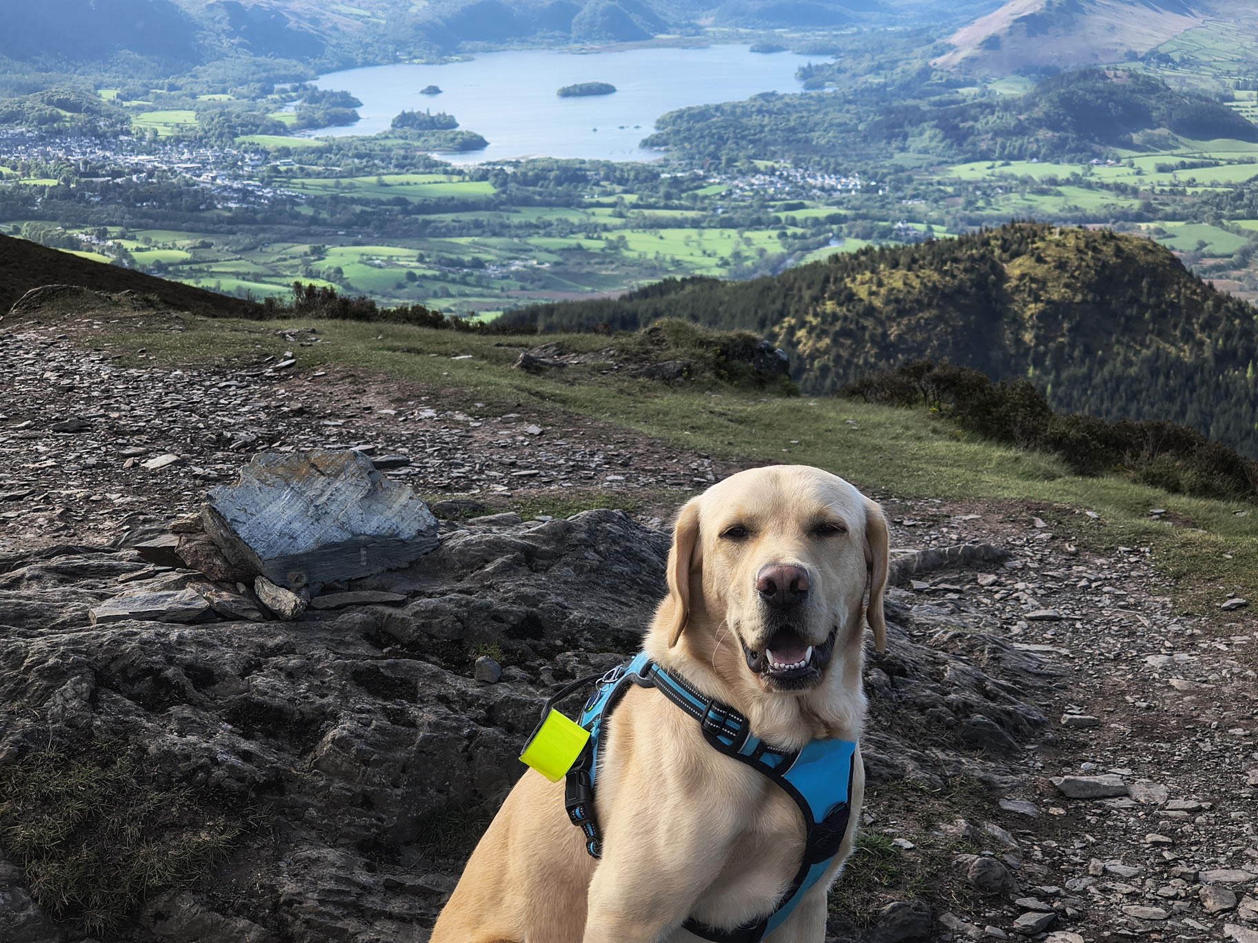 Ullock Pike, Skiddaw - Image 10, May 06, 2026