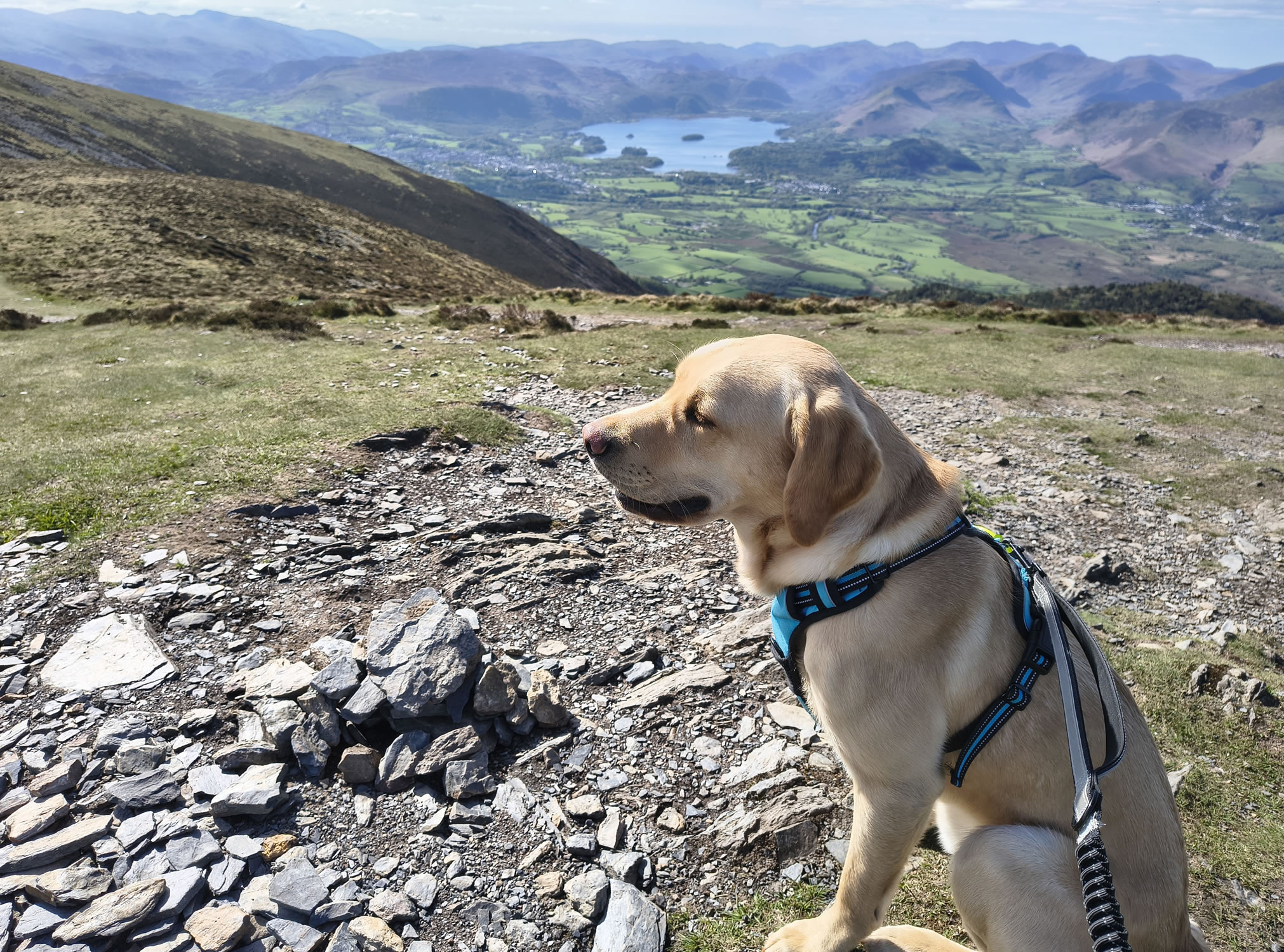 Ullock Pike, Skiddaw - Image 16, May 06, 2026