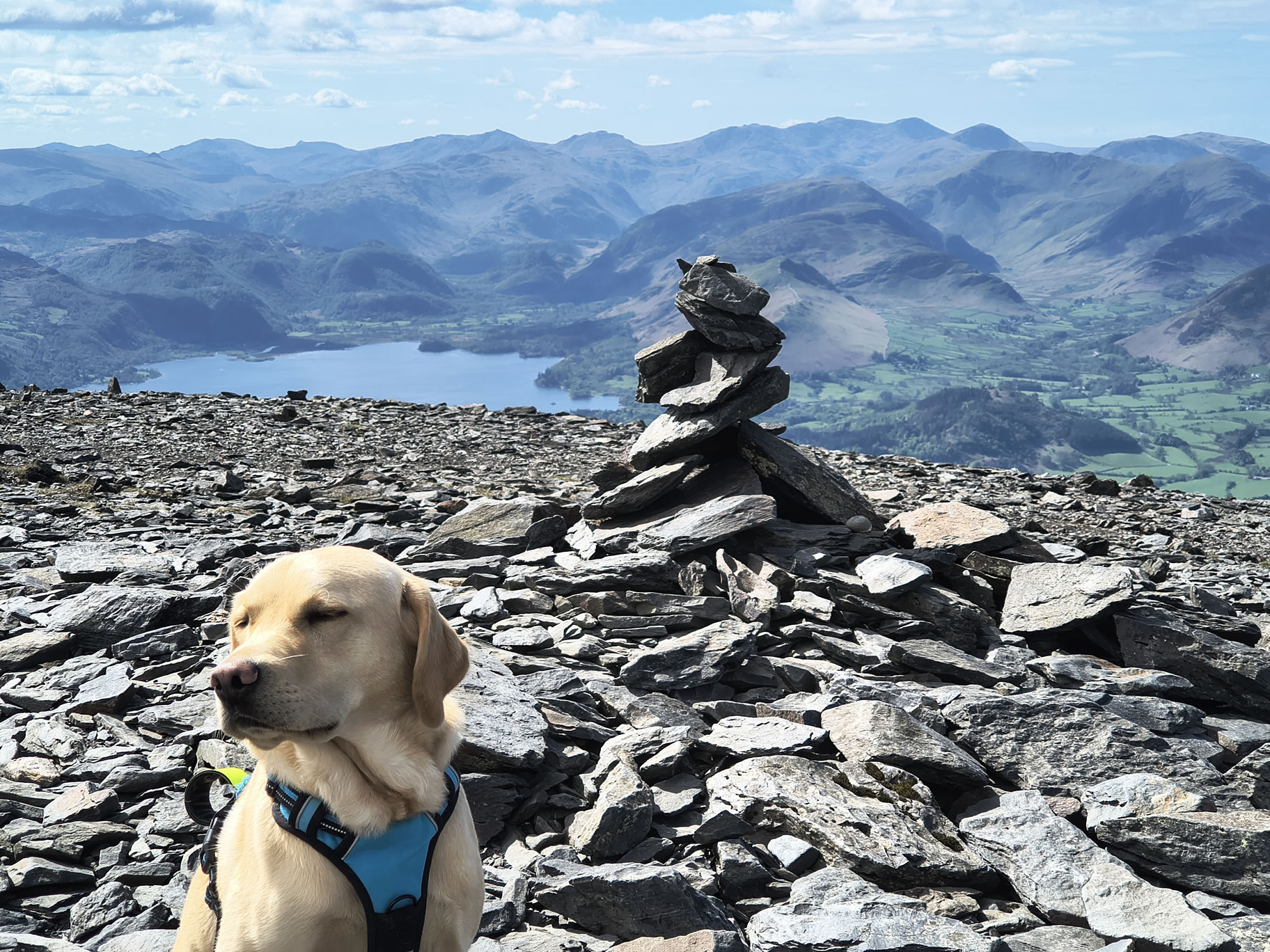 Ullock Pike, Skiddaw - Image 26, May 06, 2026