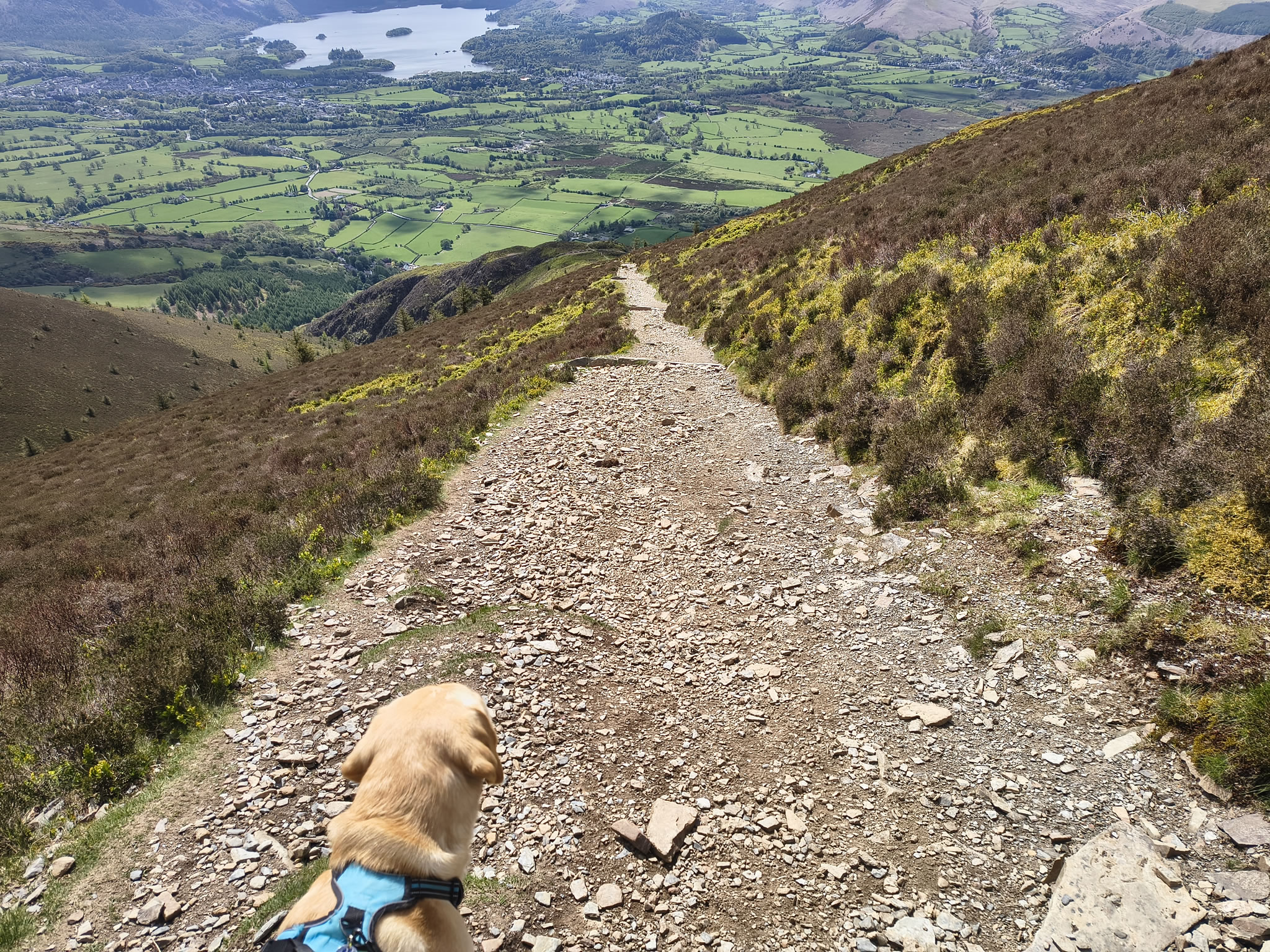 Ullock Pike, Skiddaw - Image 29, May 06, 2026