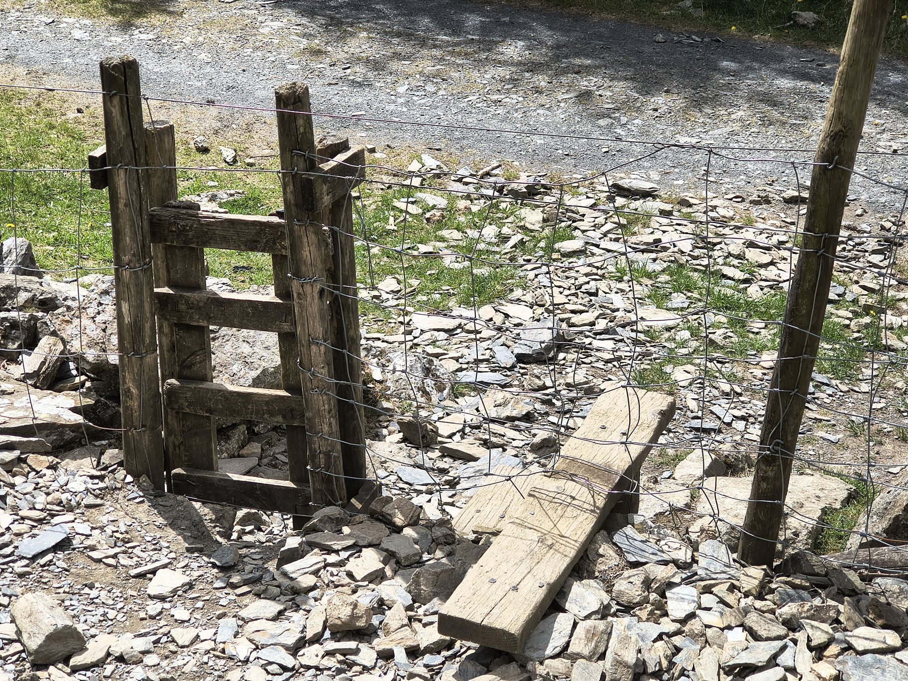 Ullock Pike, Skiddaw - Image 31, May 06, 2026
