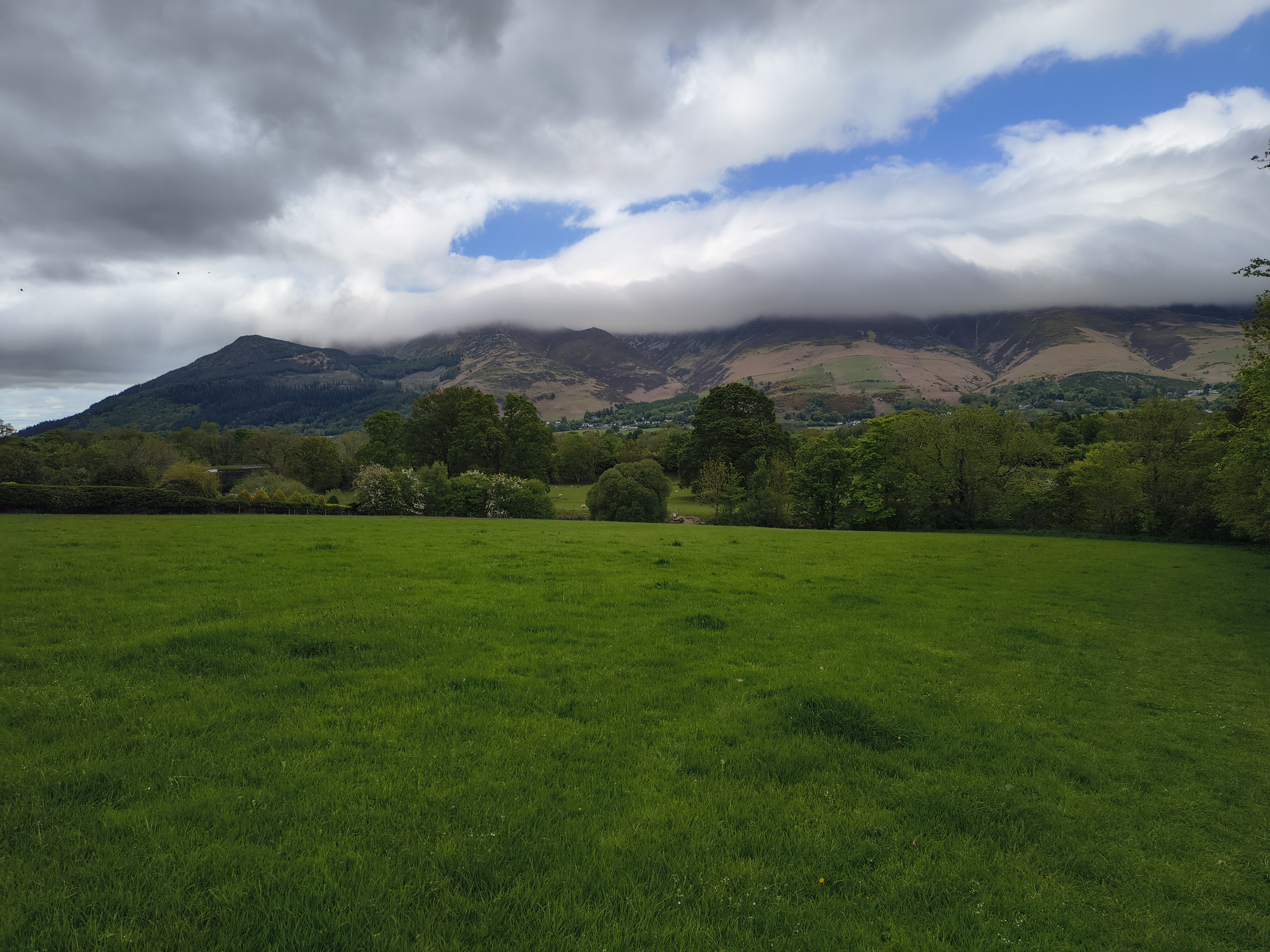 Cat Bells - Image 2, May 09, 2026