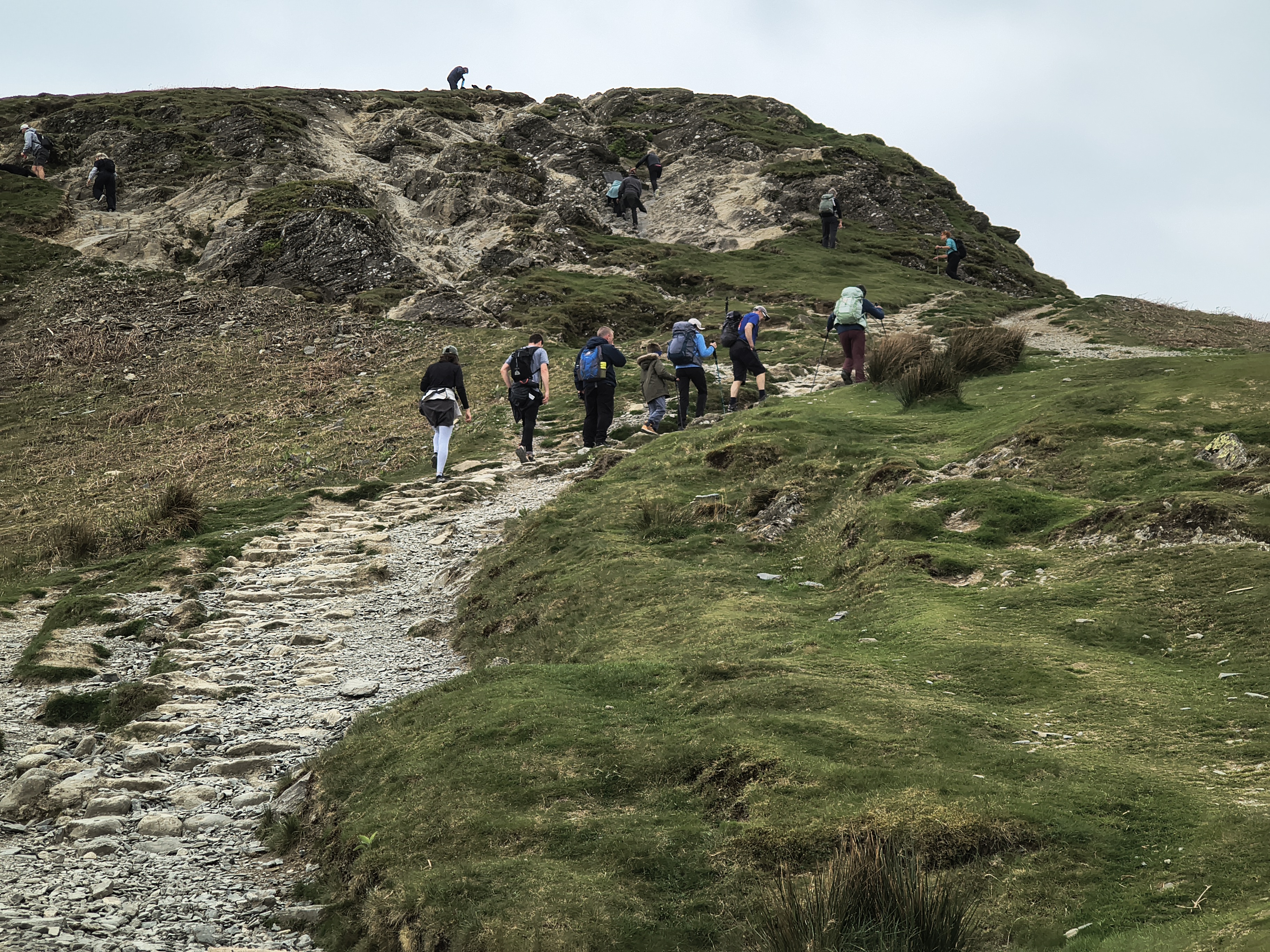 Cat Bells - Image 4, May 09, 2026