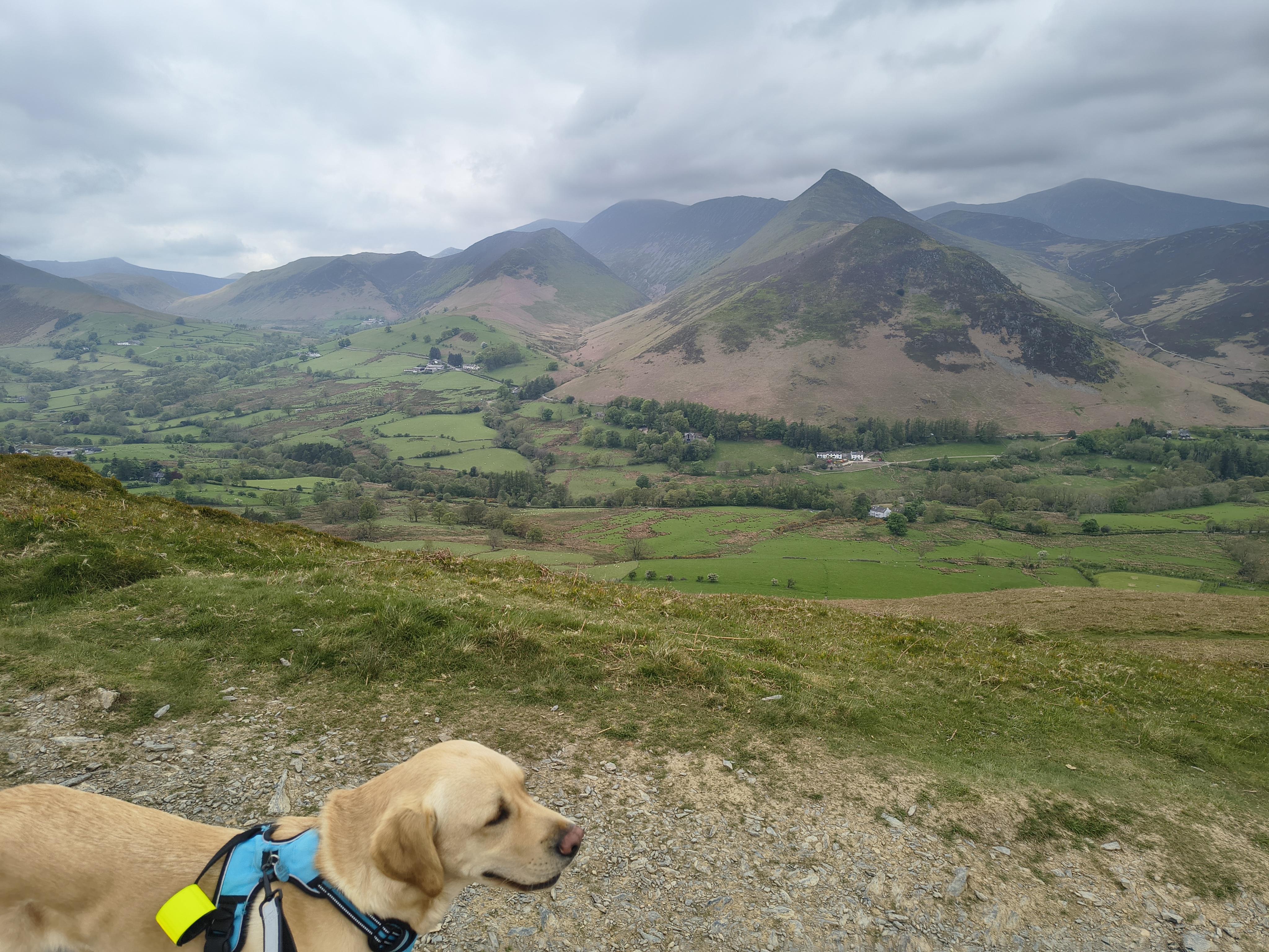 Cat Bells - Image 5, May 09, 2026