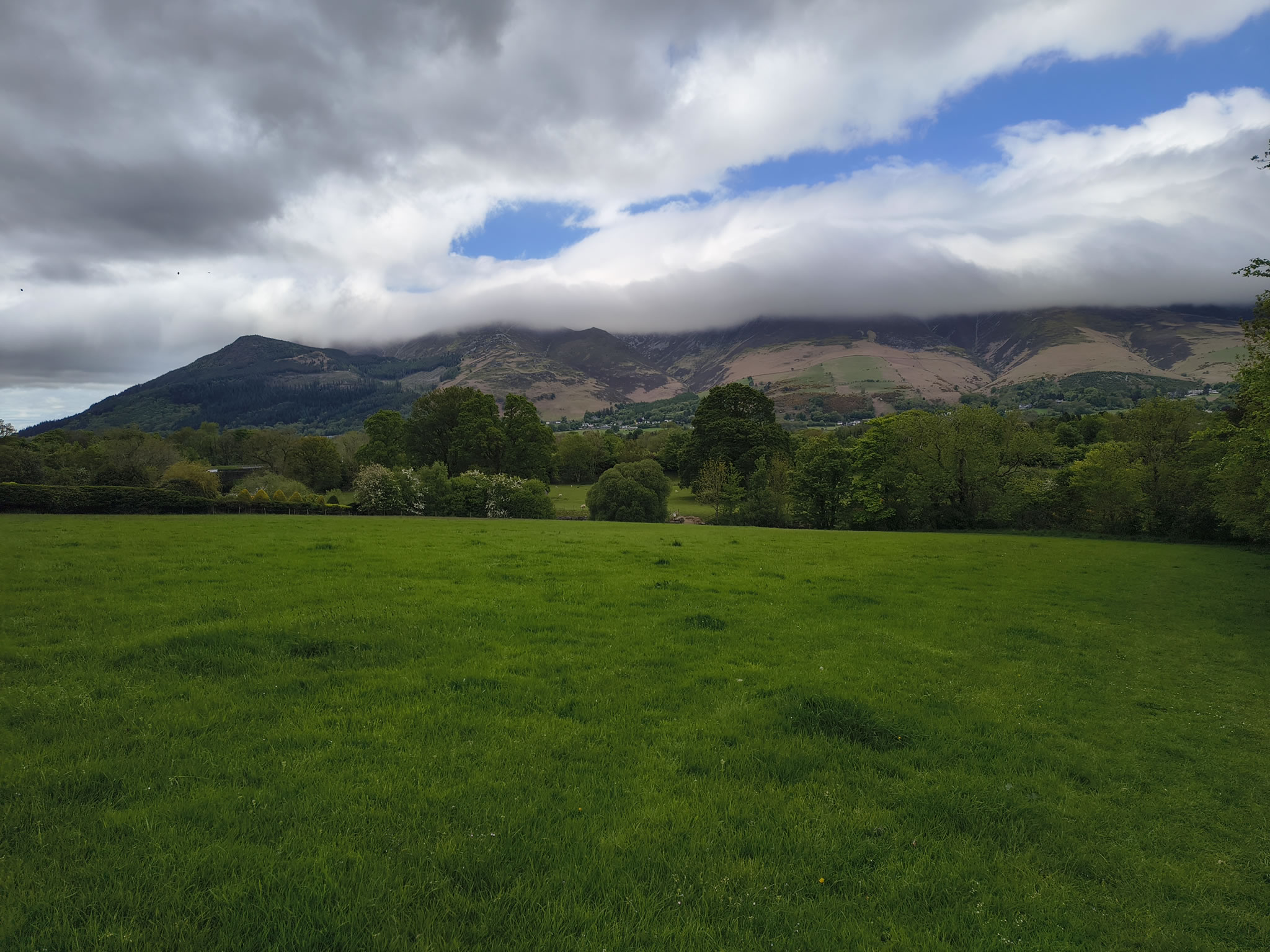 Cat Bells - Image 2, May 09, 2026