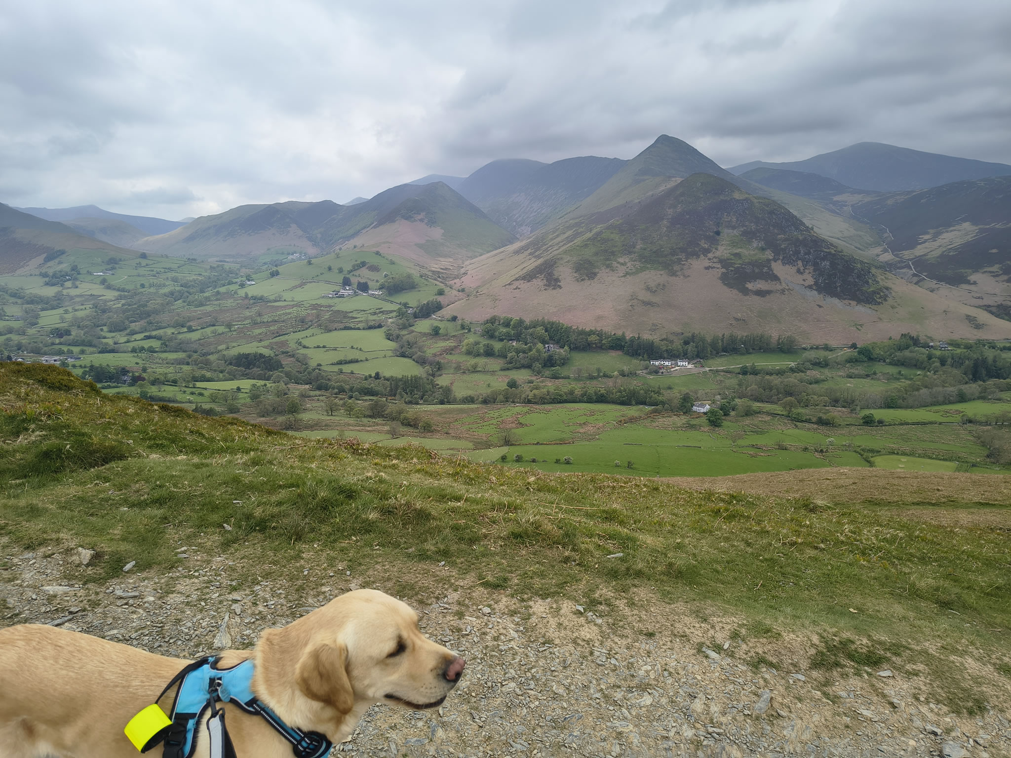 Cat Bells - Image 5, May 09, 2026