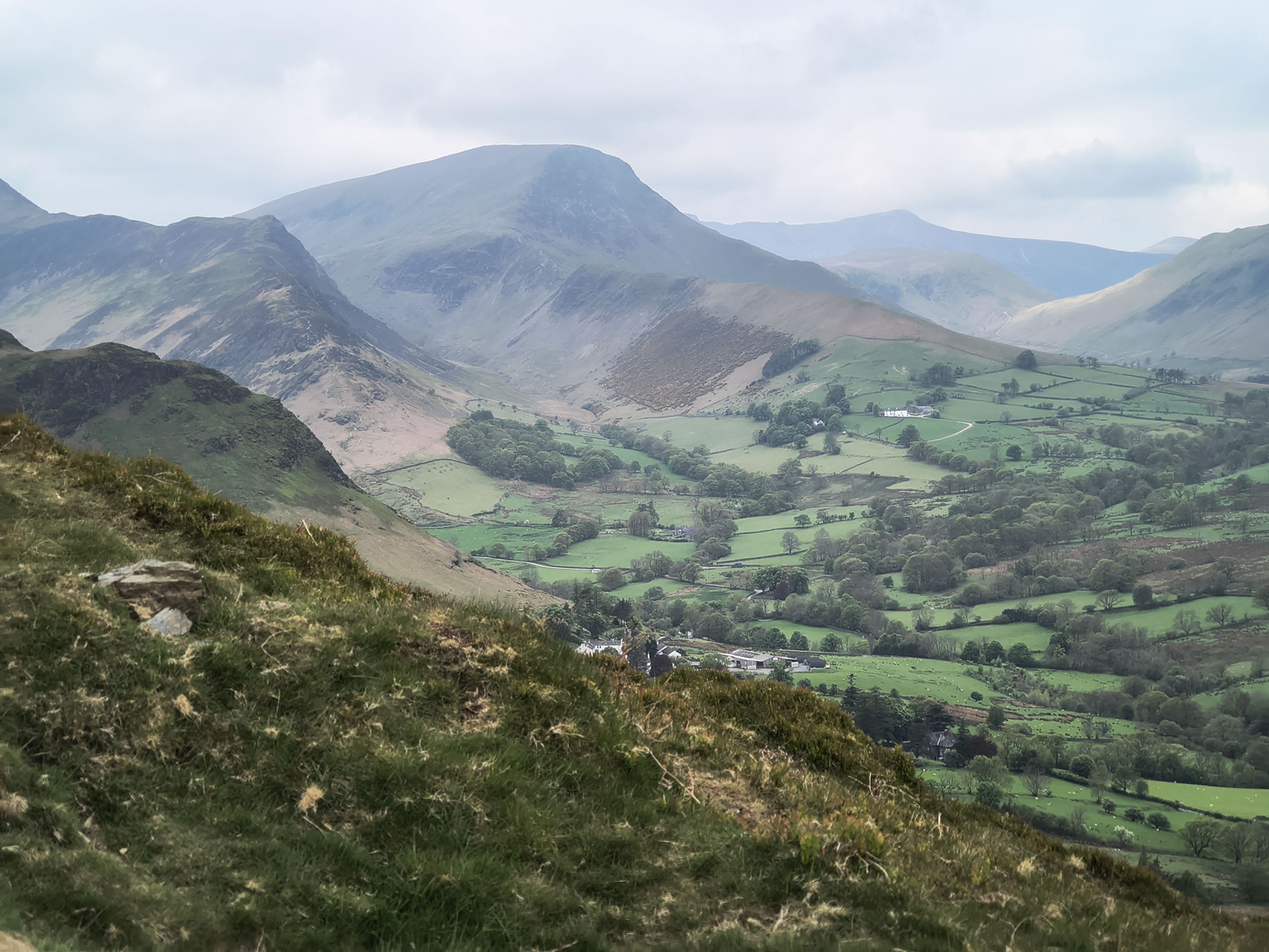 Cat Bells - Image 6, May 09, 2026