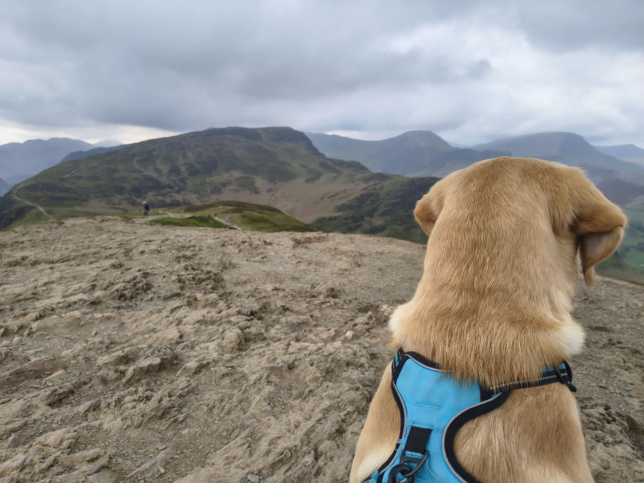 Cat Bells - Image 7, May 09, 2026