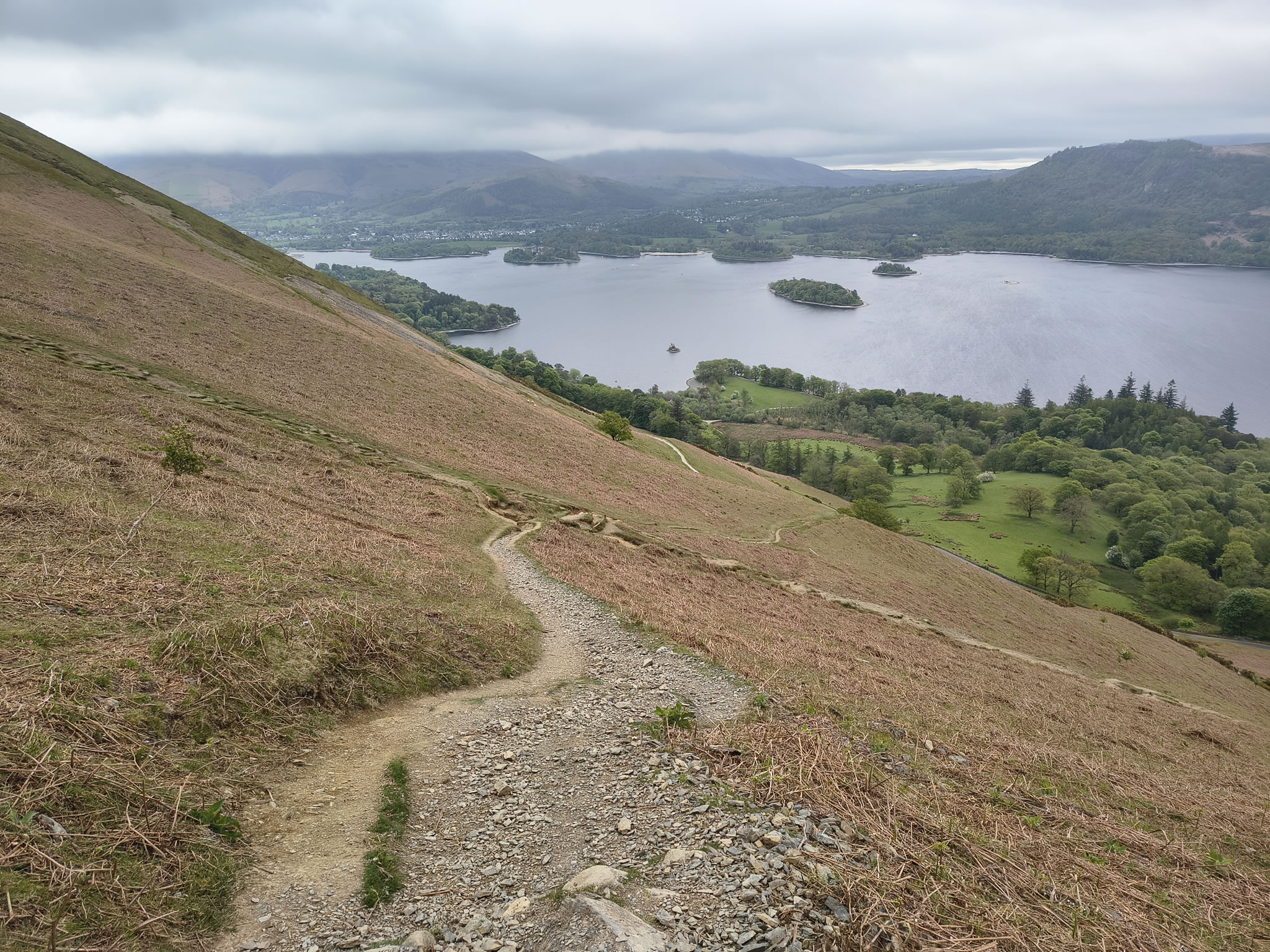 Cat Bells - Image 9, May 09, 2026