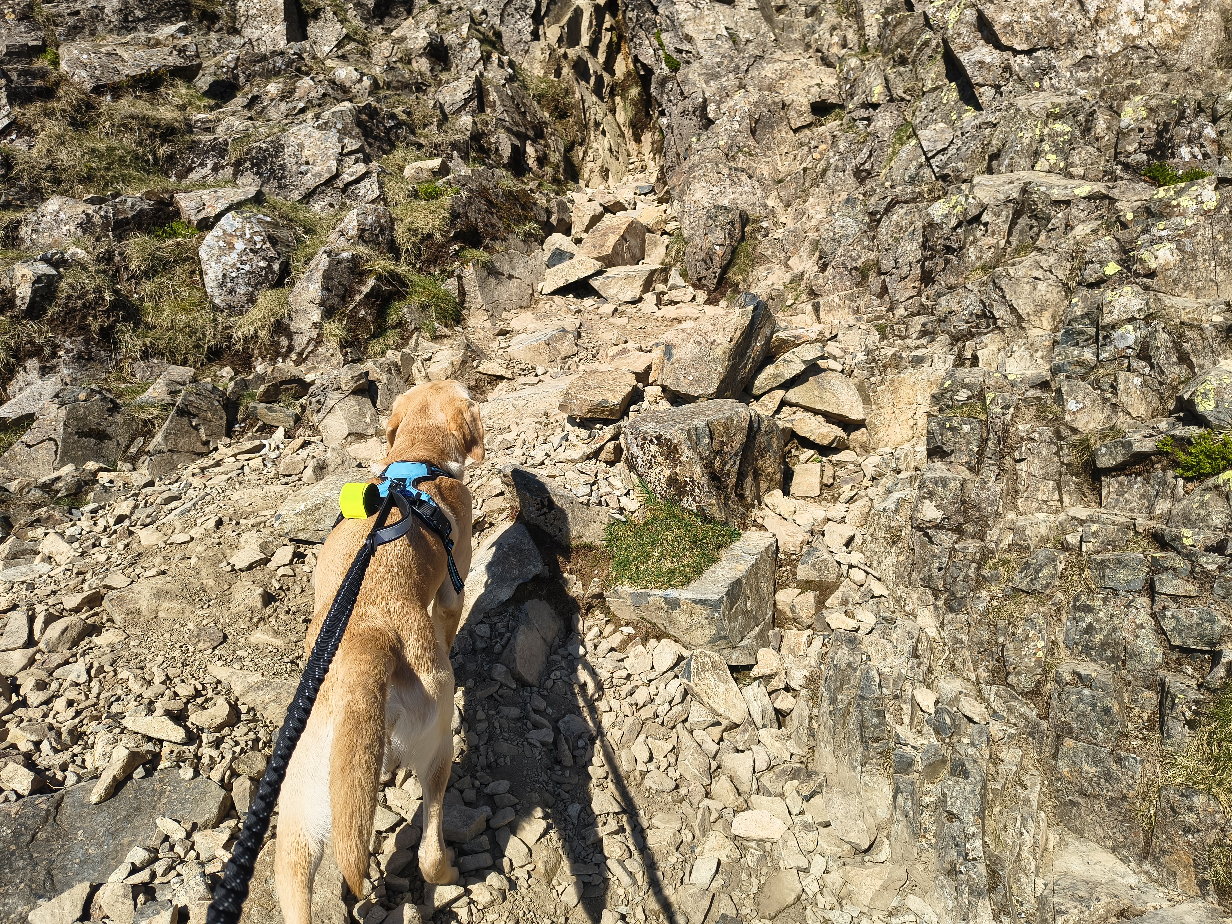 Great Gable, Fleetwith Pike - Image 11, May 10, 2026