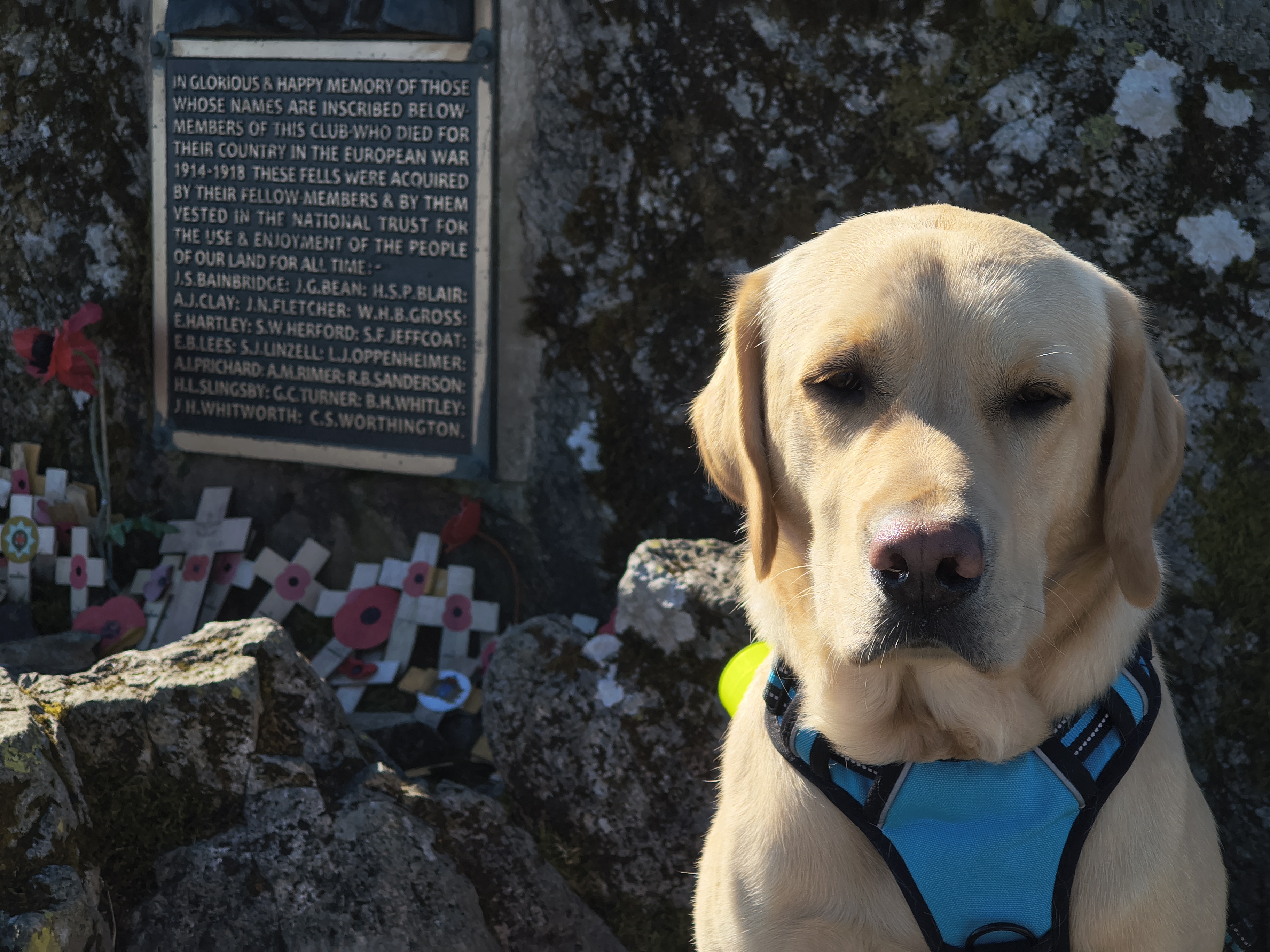 Great Gable, Fleetwith Pike - Image 15, May 10, 2026