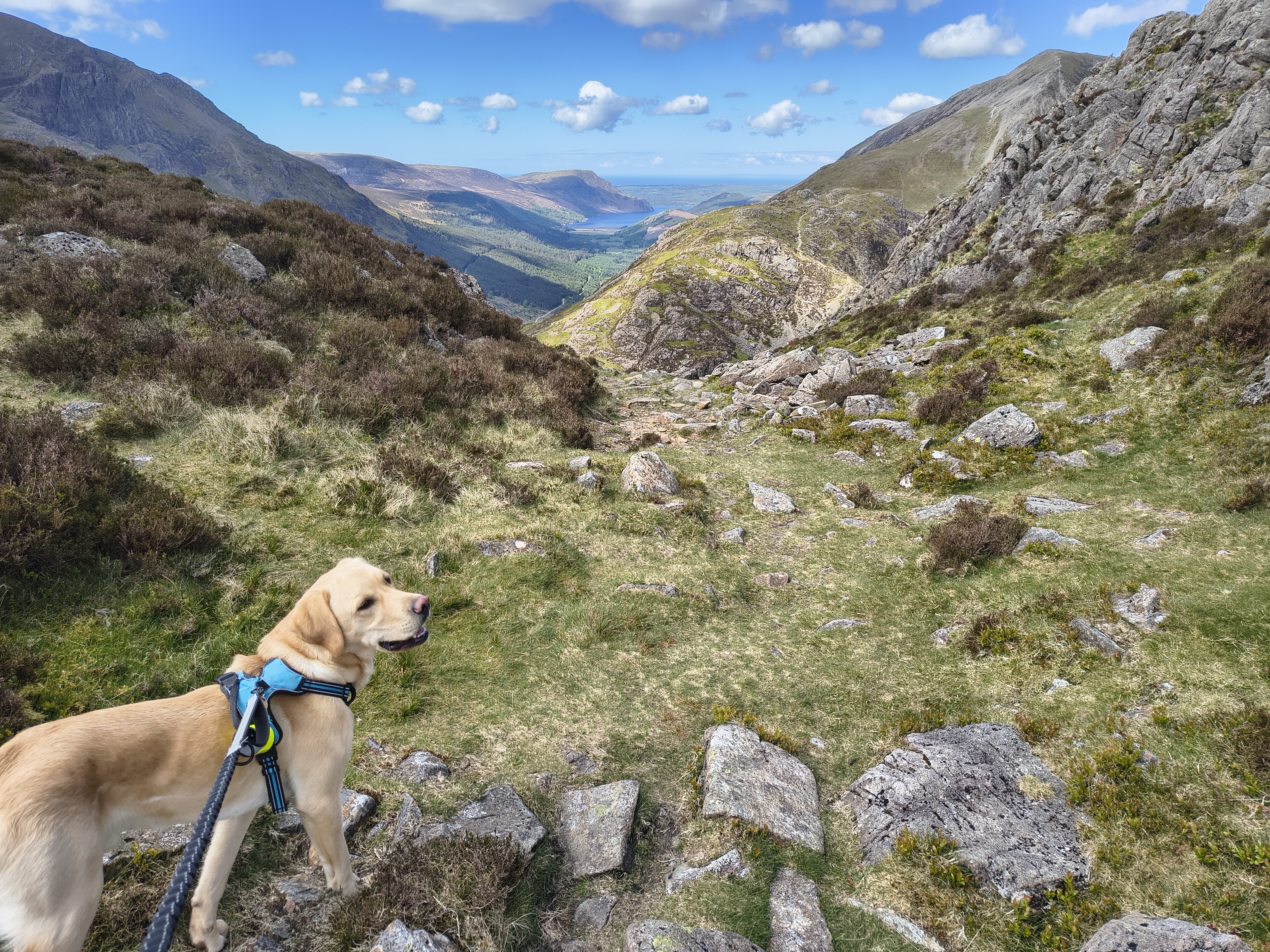 Great Gable, Fleetwith Pike - Image 23, May 10, 2026