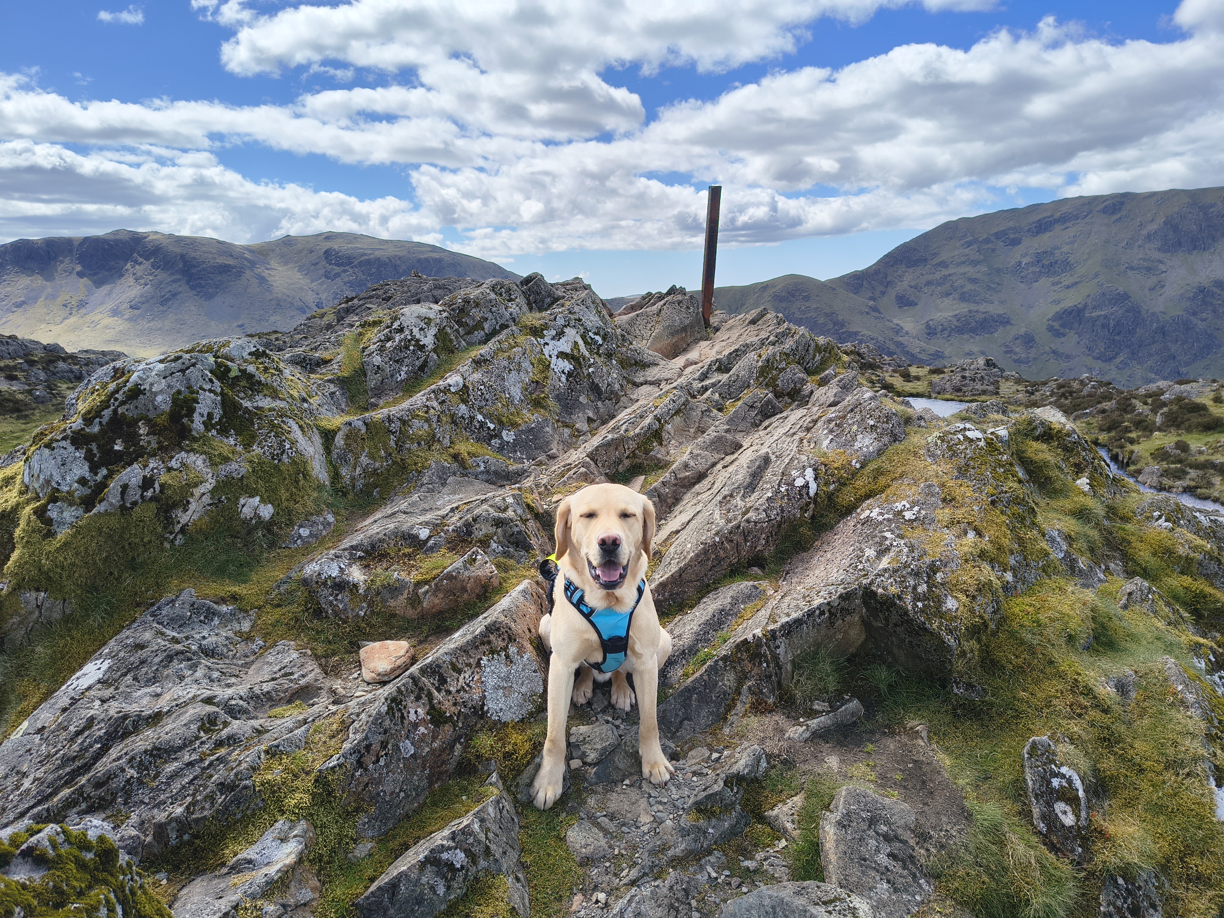Great Gable, Fleetwith Pike - Image 25, May 10, 2026