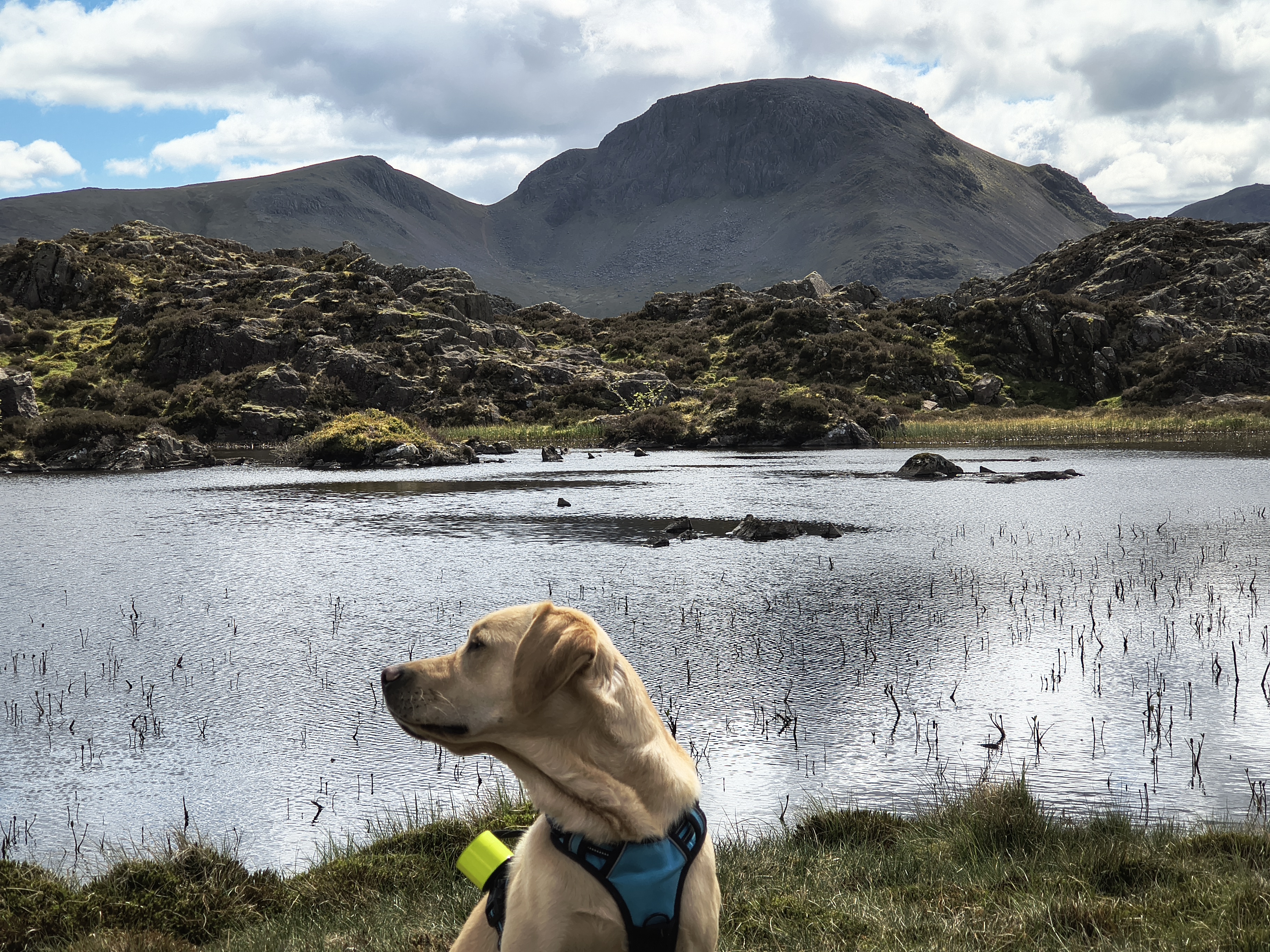 Great Gable, Fleetwith Pike - Image 27, May 10, 2026