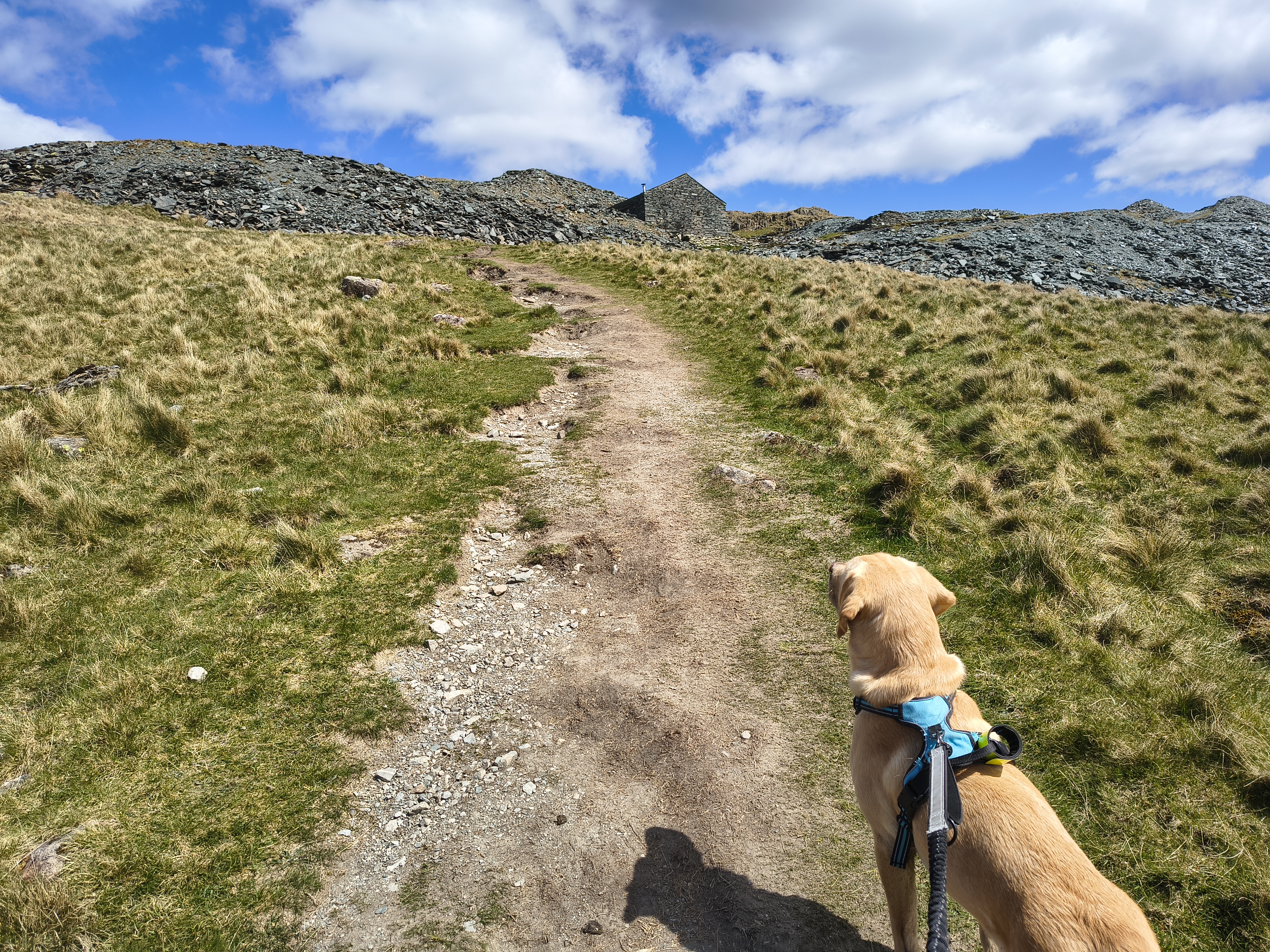 Great Gable, Fleetwith Pike - Image 32, May 10, 2026
