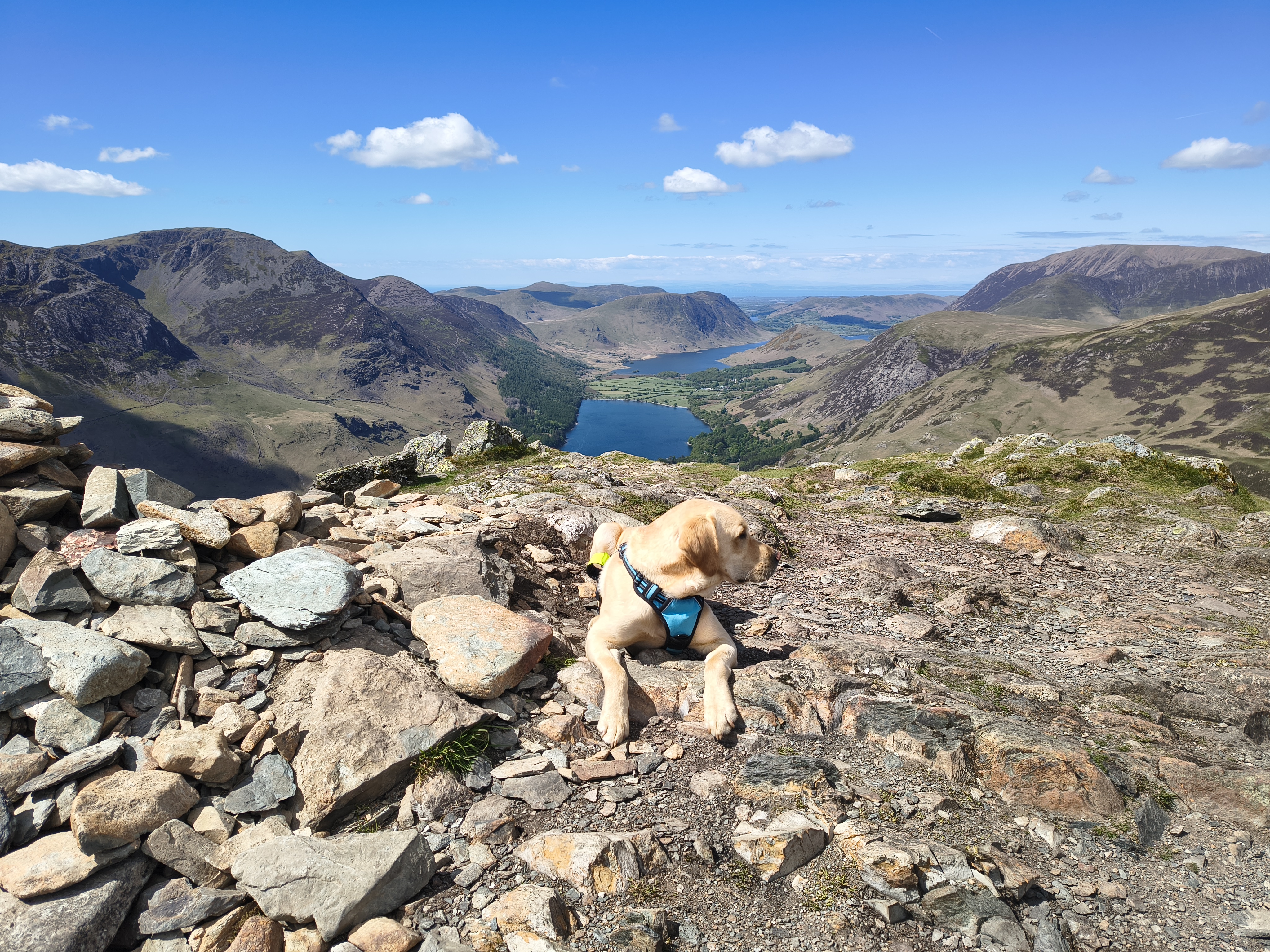 Great Gable, Fleetwith Pike - Image 34, May 10, 2026