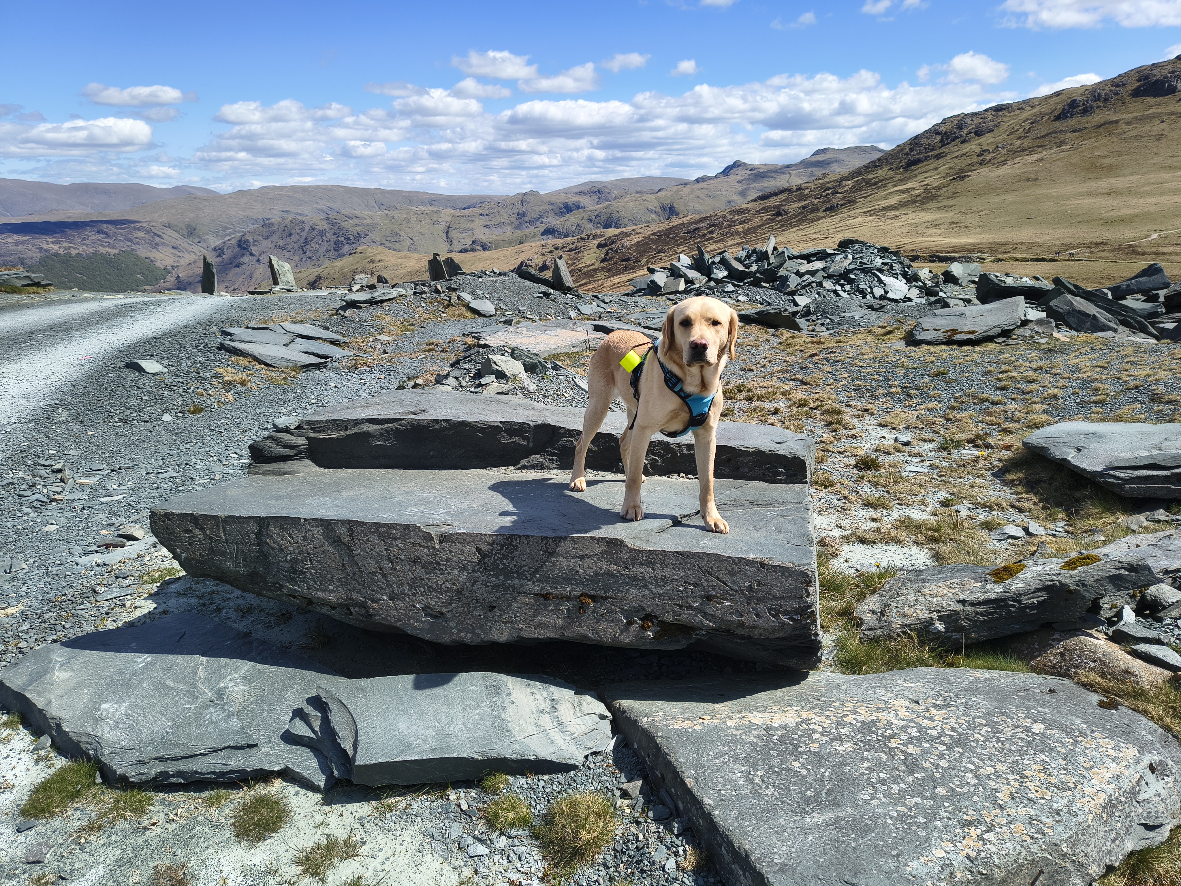 Great Gable, Fleetwith Pike - Image 37, May 10, 2026