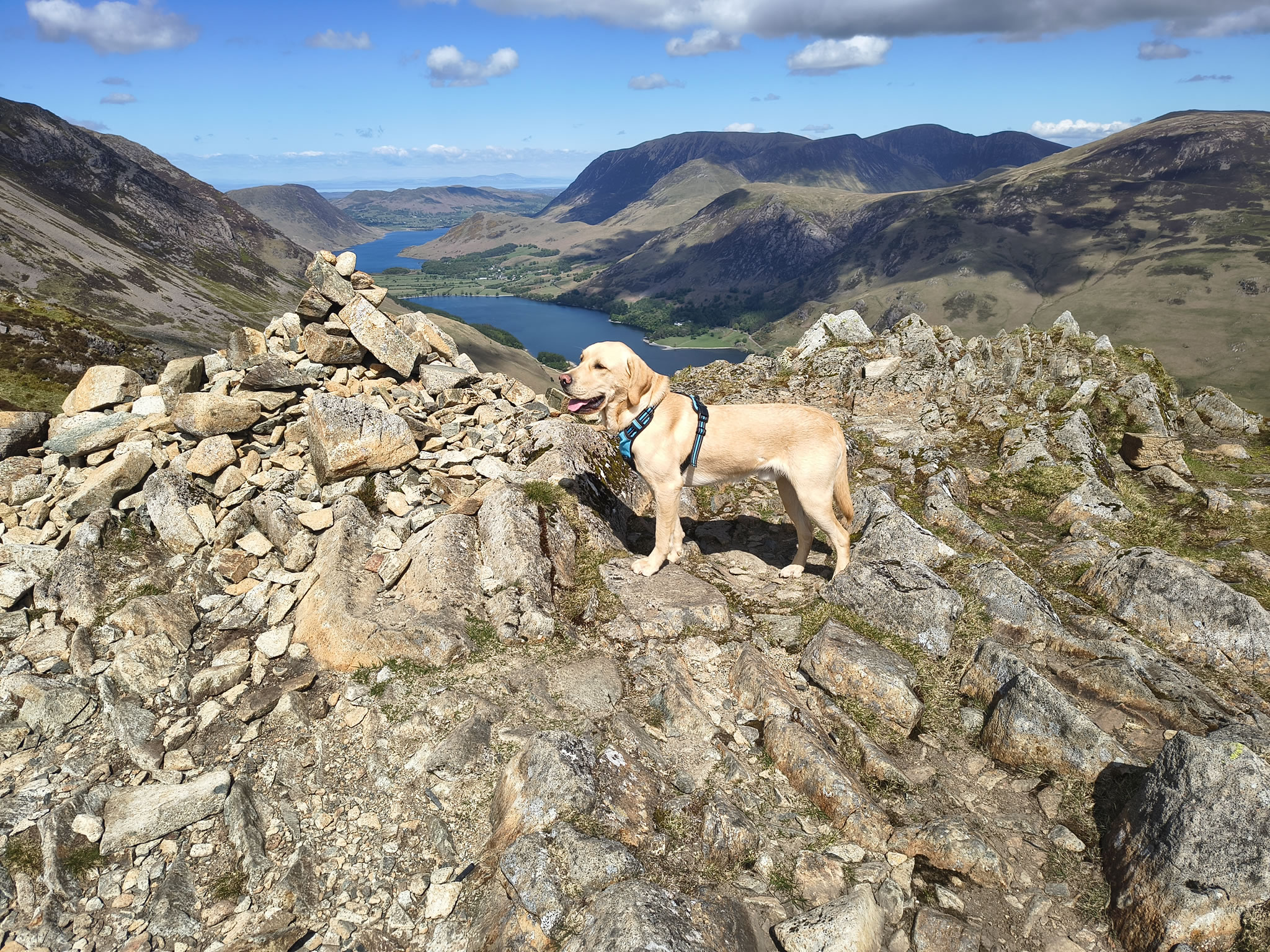 Great Gable, Fleetwith Pike - Image 1, May 10, 2026