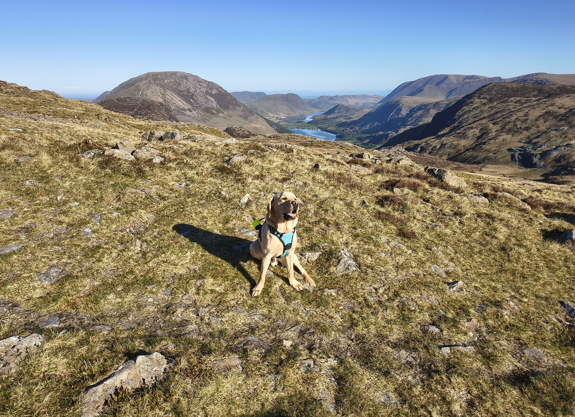 Great Gable, Fleetwith Pike - Image 6, May 10, 2026