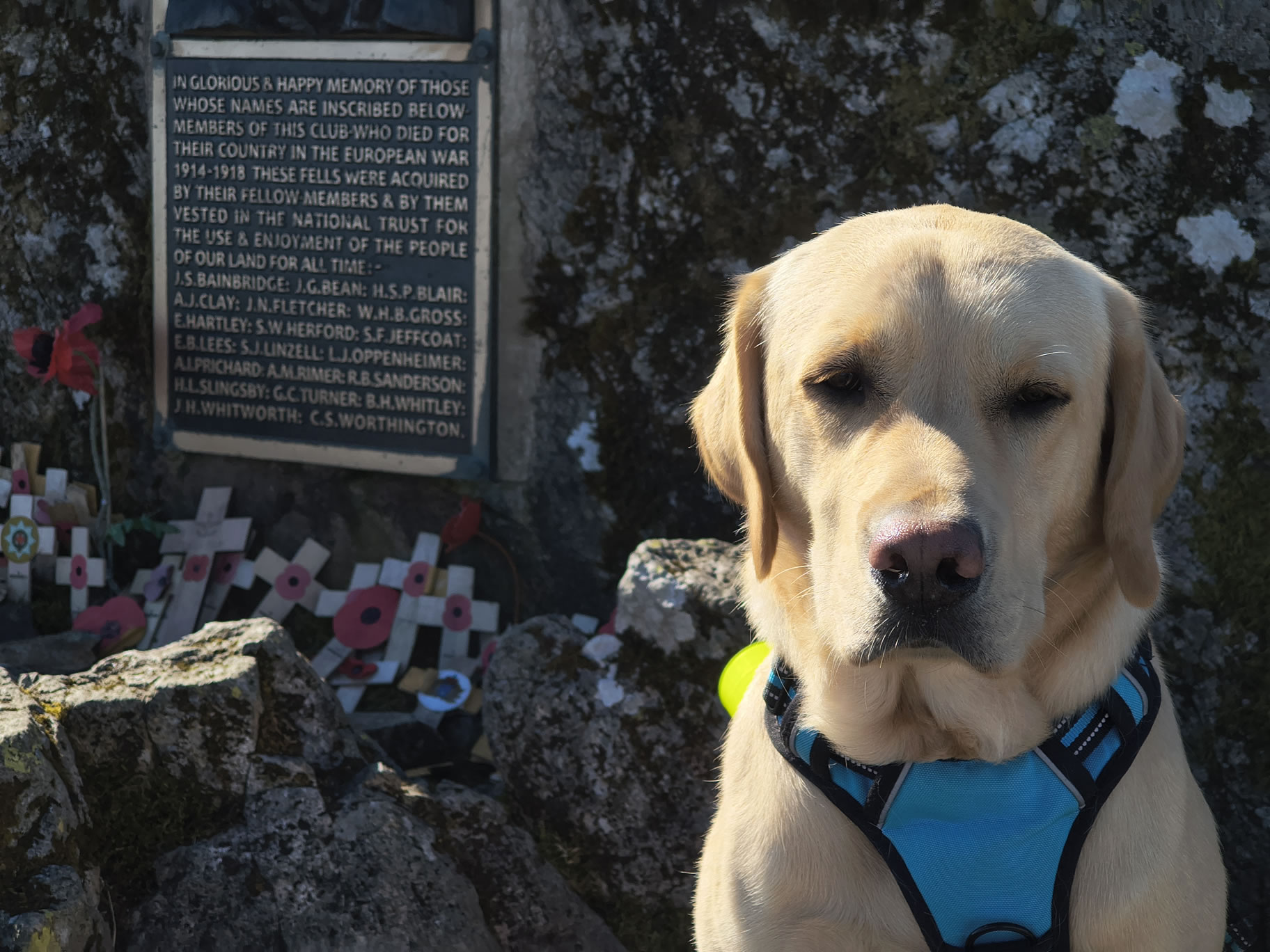 Great Gable, Fleetwith Pike - Image 15, May 10, 2026