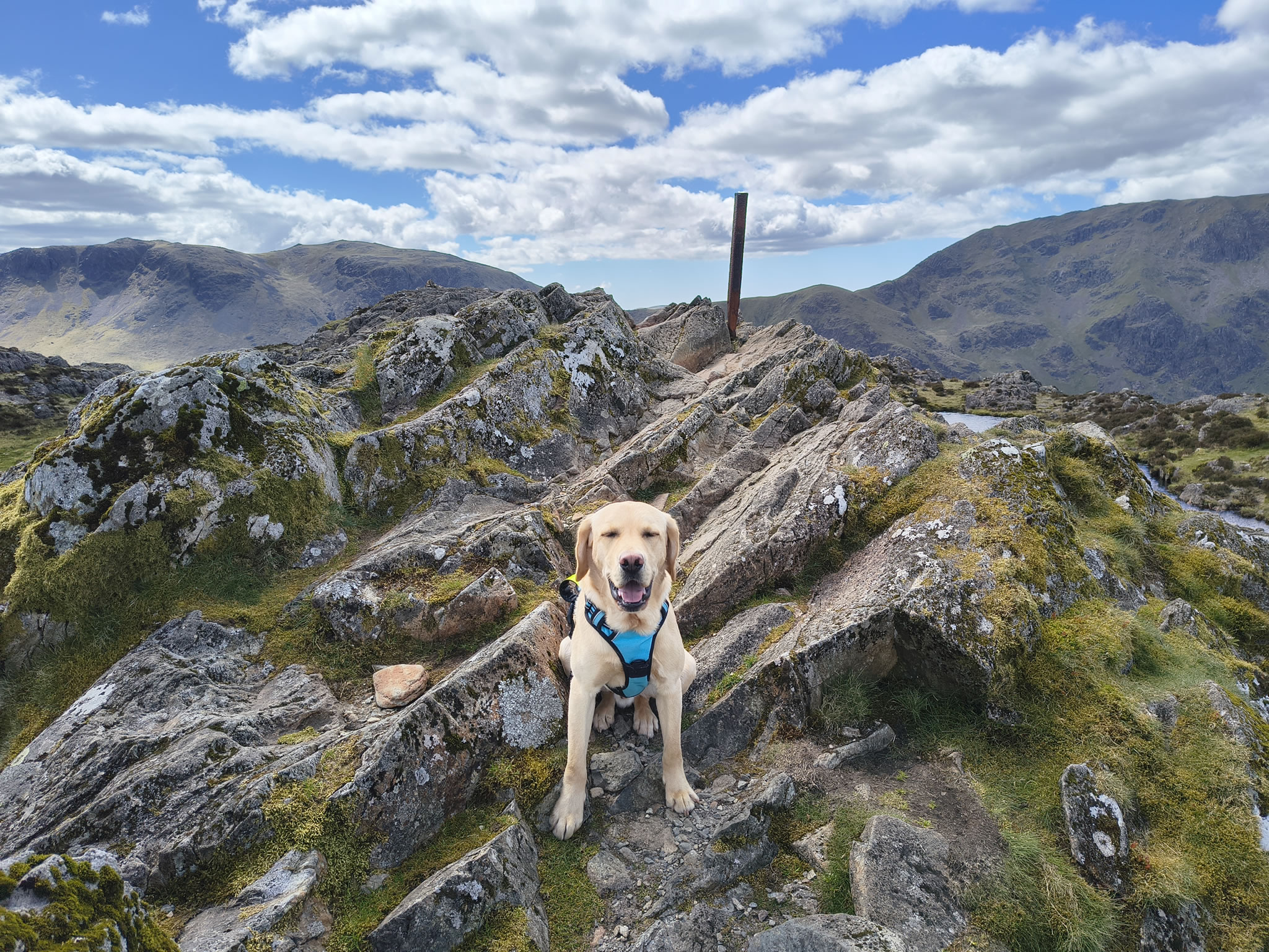 Great Gable, Fleetwith Pike - Image 25, May 10, 2026