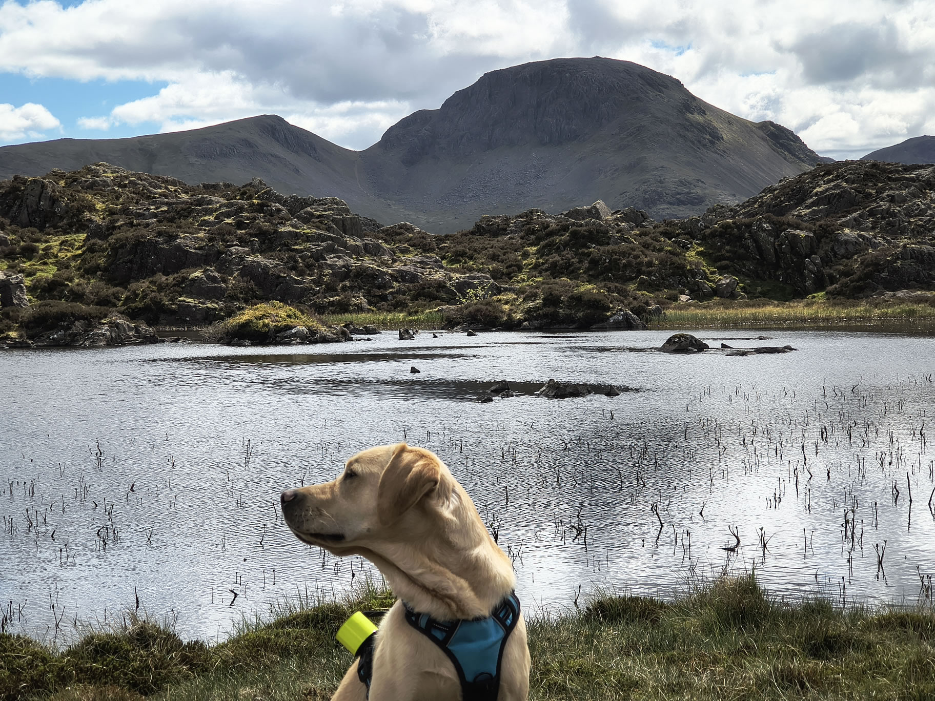 Great Gable, Fleetwith Pike - Image 27, May 10, 2026