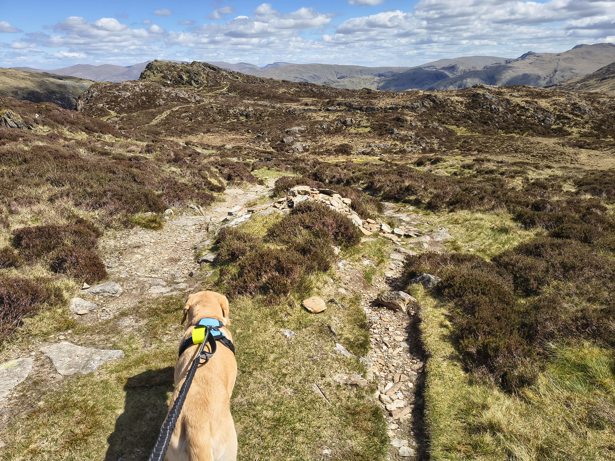 Great Gable, Fleetwith Pike - Image 35, May 10, 2026