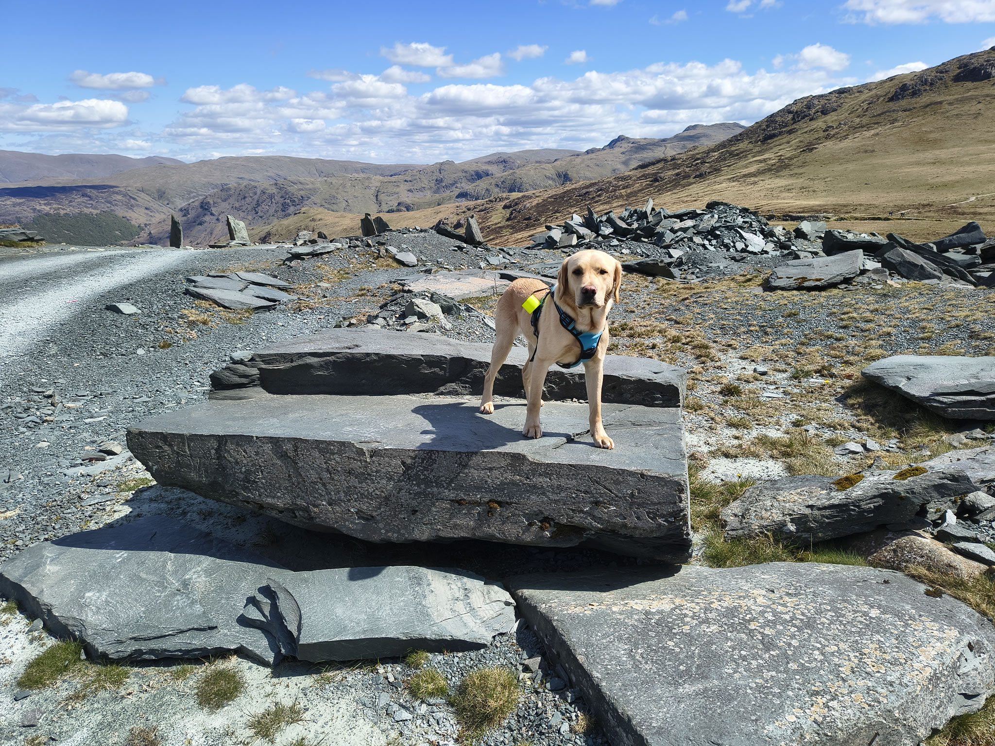 Great Gable, Fleetwith Pike - Image 37, May 10, 2026