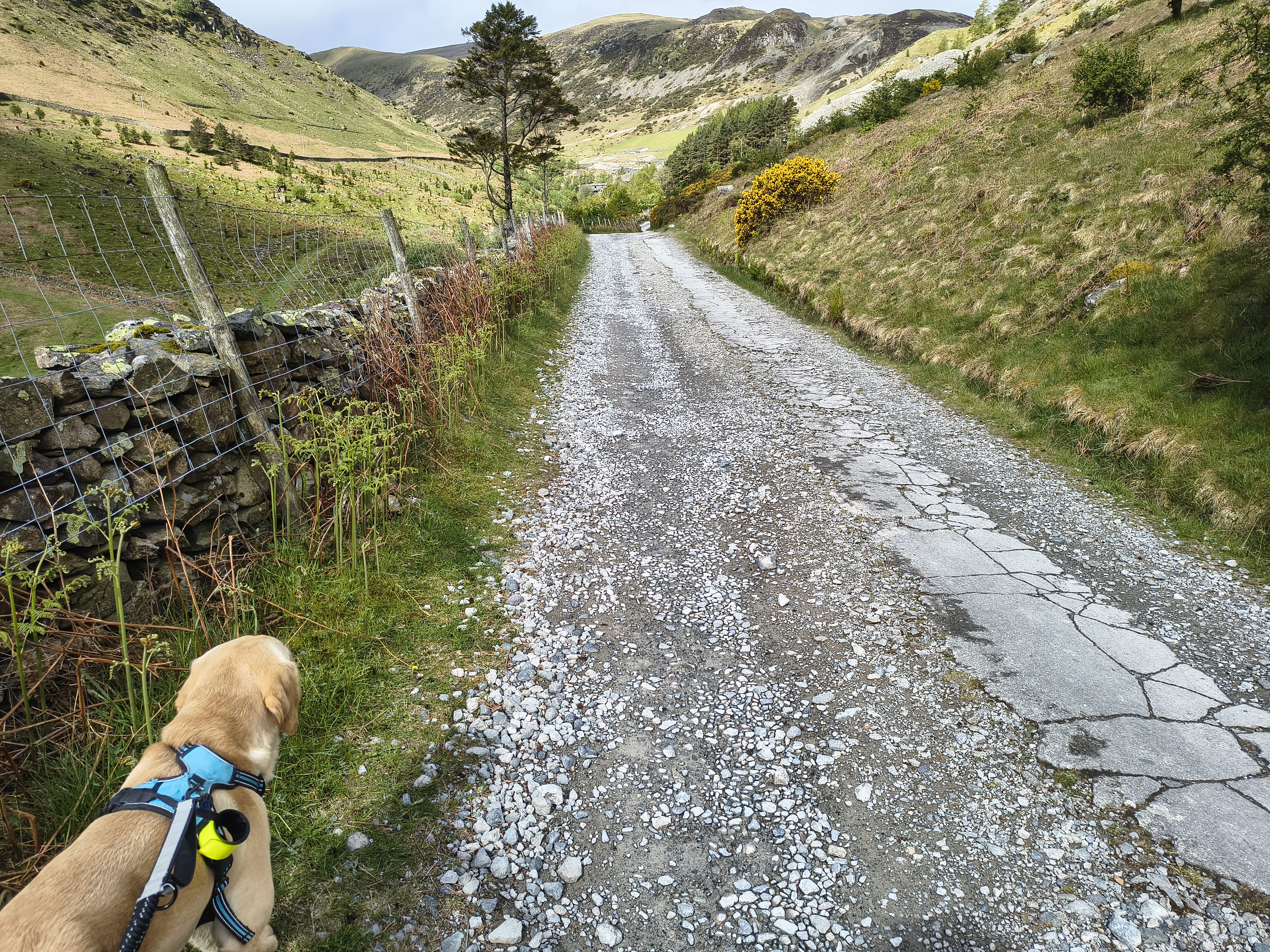 Catstye Cam, Birkhouse Moor - Image 4, May 11, 2026