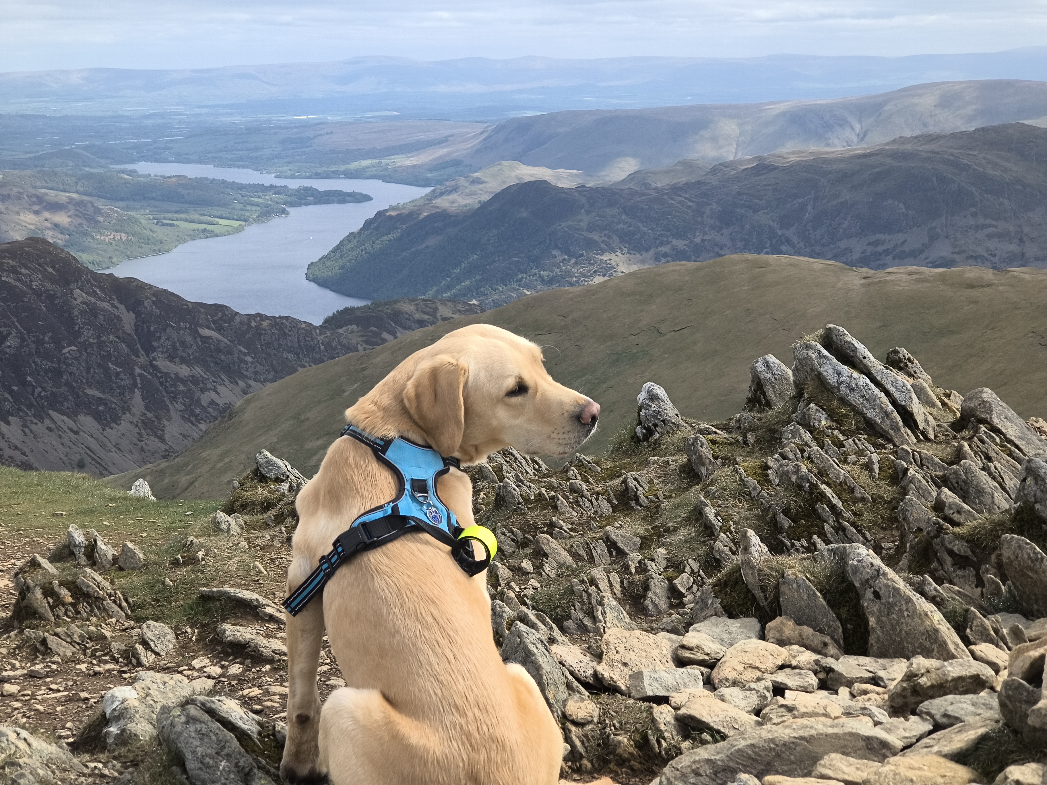 Catstye Cam, Birkhouse Moor - Image 11, May 11, 2026